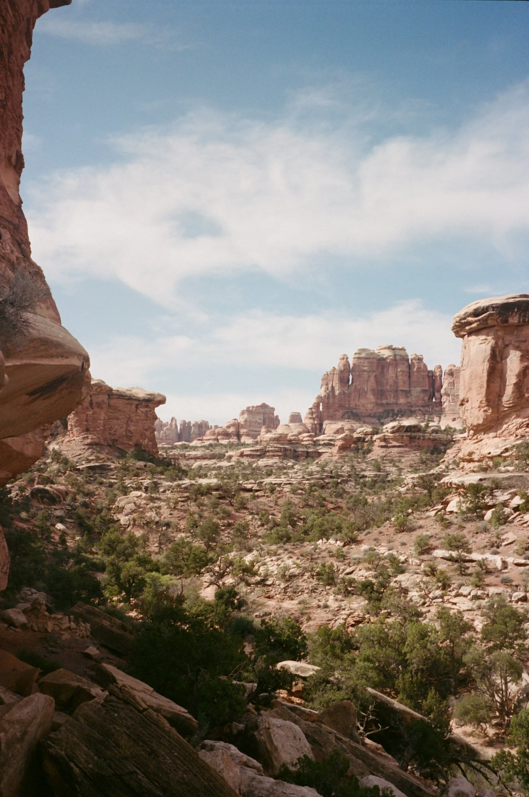 Scenic view of a desert canyon with red rock formations and sparse trees under a partly cloudy sky.