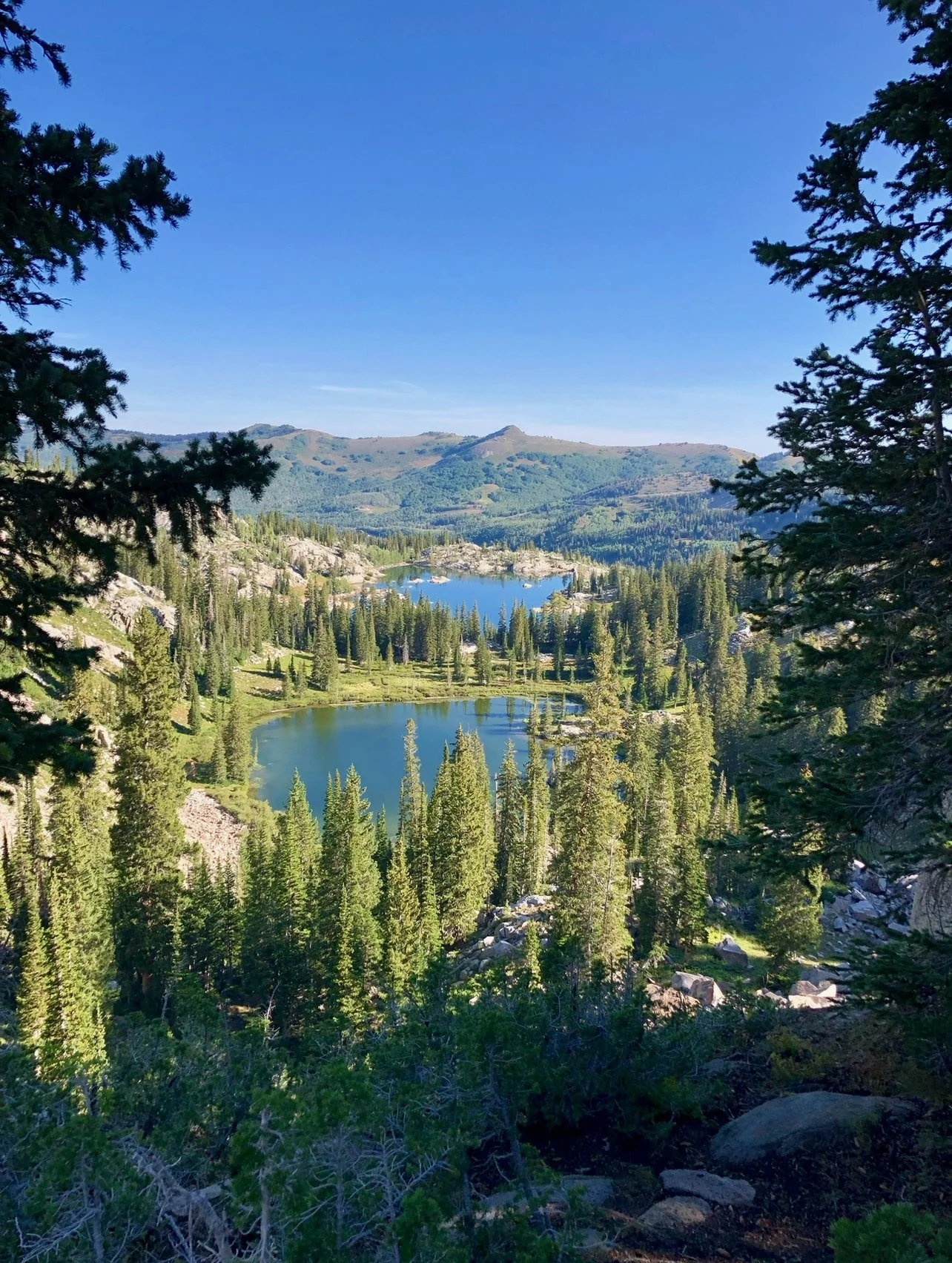Mountain landscape Queen Lakes Utah with two lakes surrounded by pine trees and hills under a clear blue sky.