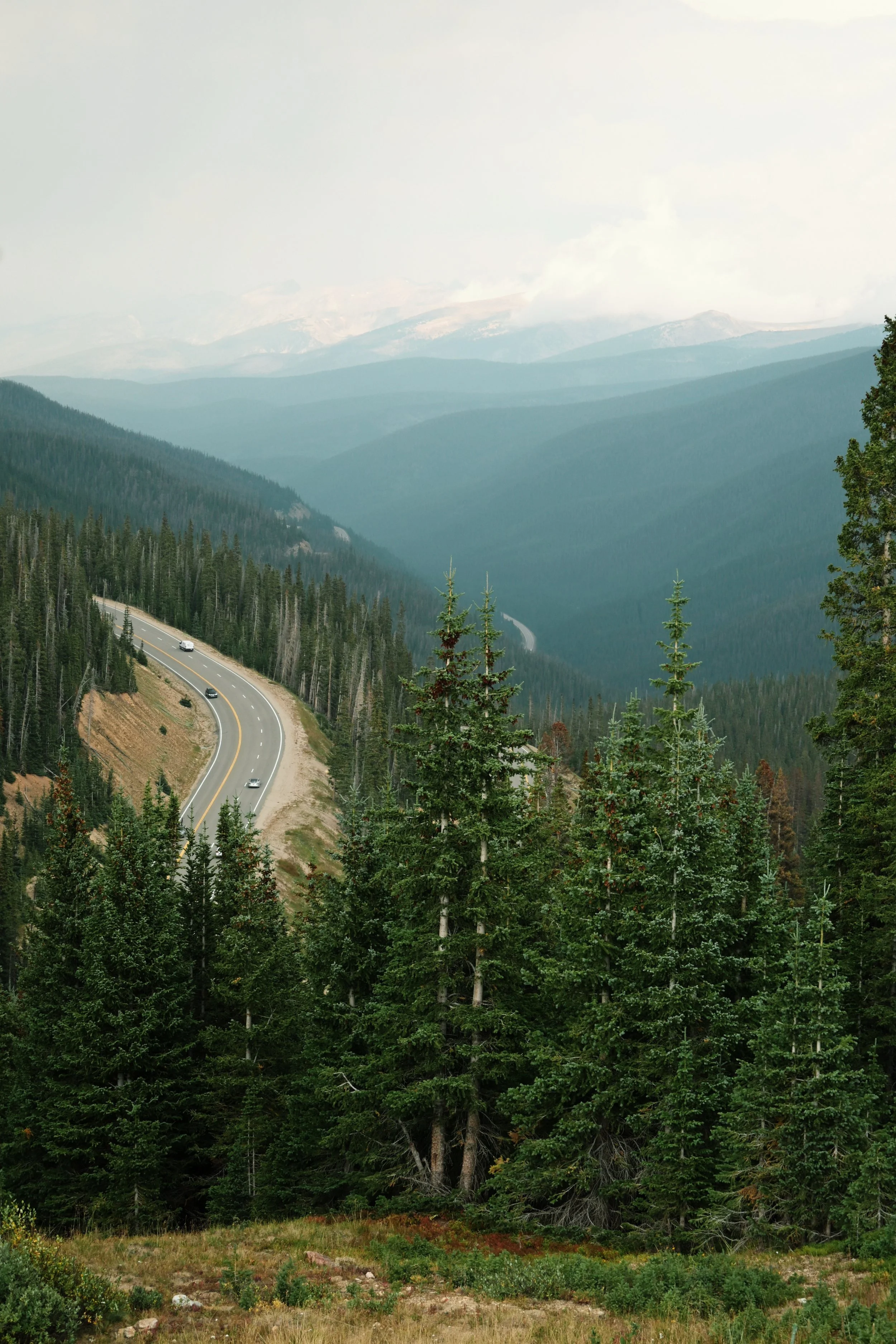Winding mountain road surrounded by dense evergreen trees, with distant mountain ranges in the background under cloudy sky.