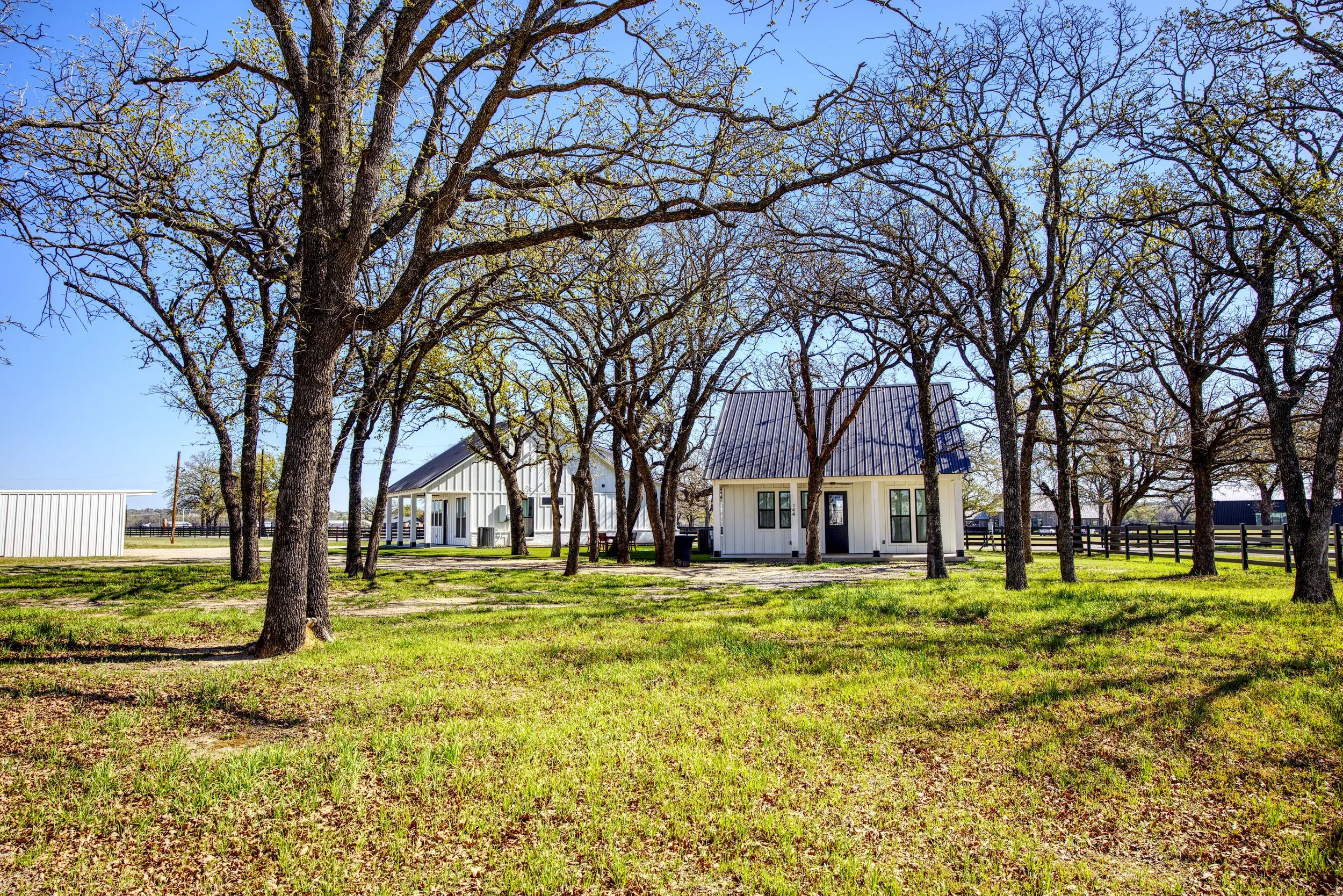 A rural scene with several leafless trees, a white house with a metal roof, and a sunny blue sky.