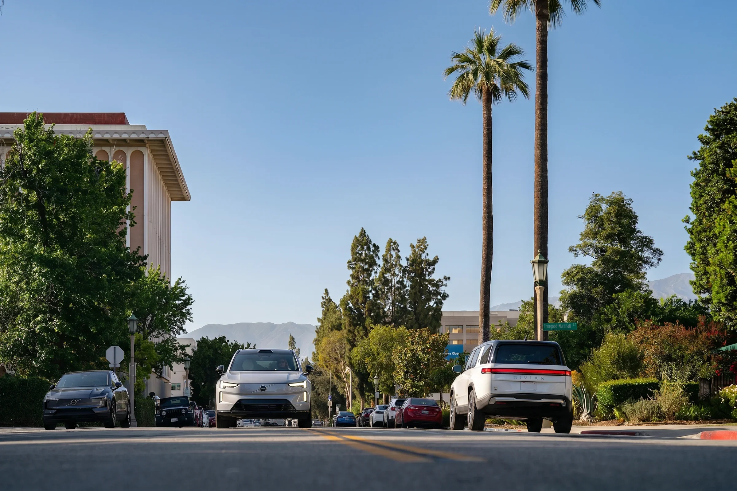 Palm tree-lined street in Pasadena, CA