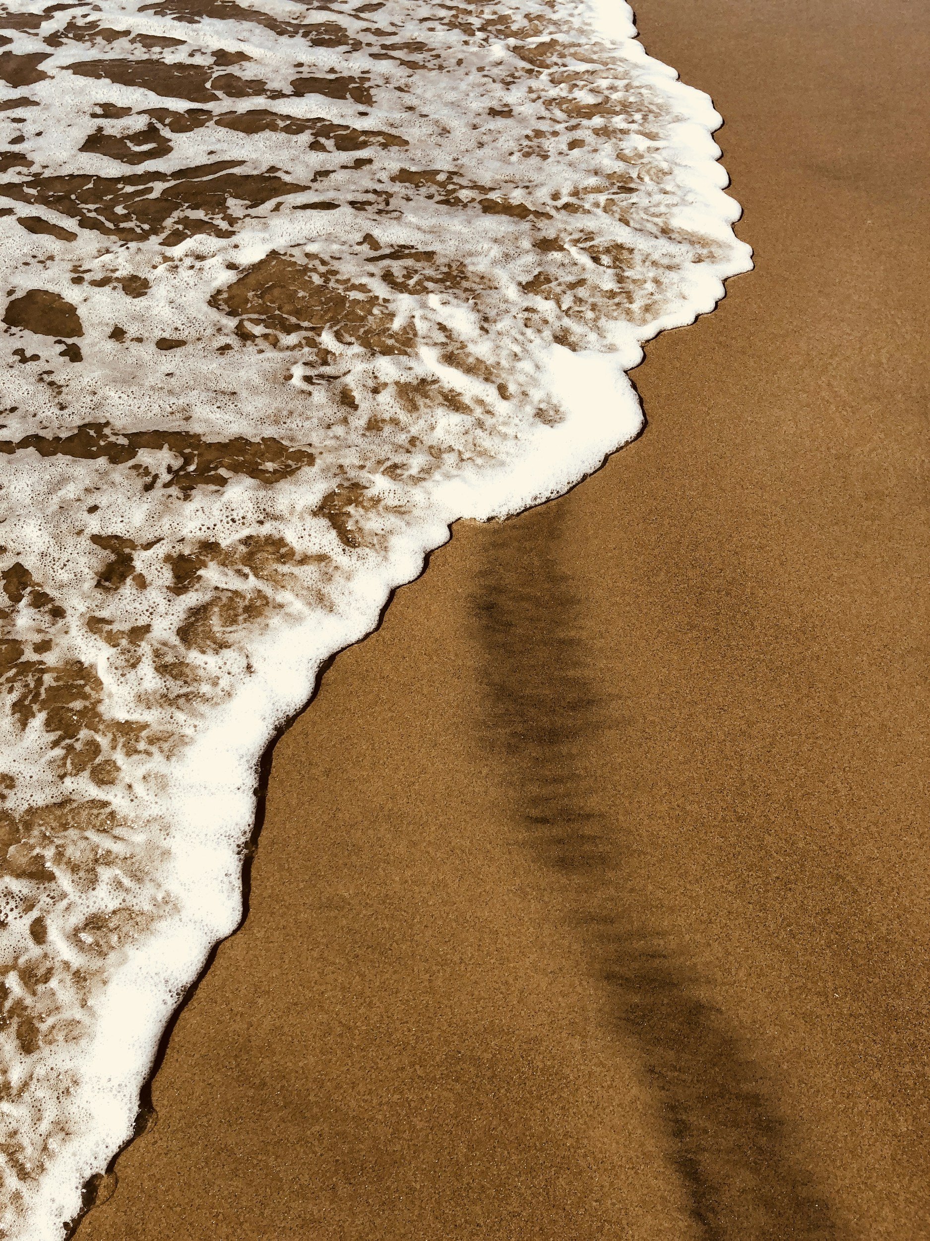 Close-up photo of the edge of a sandy beach with white foam from the surf on the brown sand.