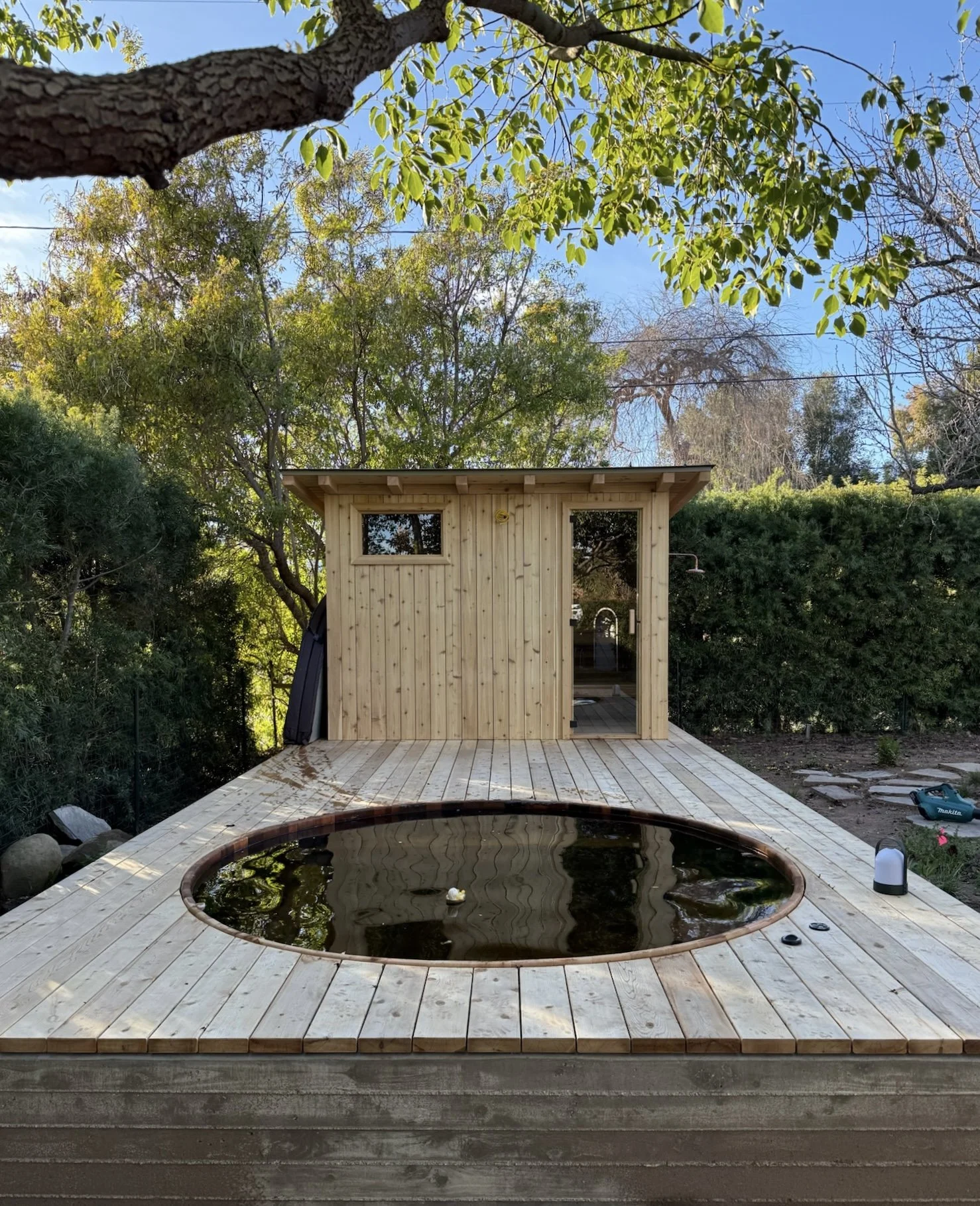 A backyard scene with a round pond on a wooden deck, a small wooden shed with a window and door, surrounded by green trees and bushes, under a clear blue sky.