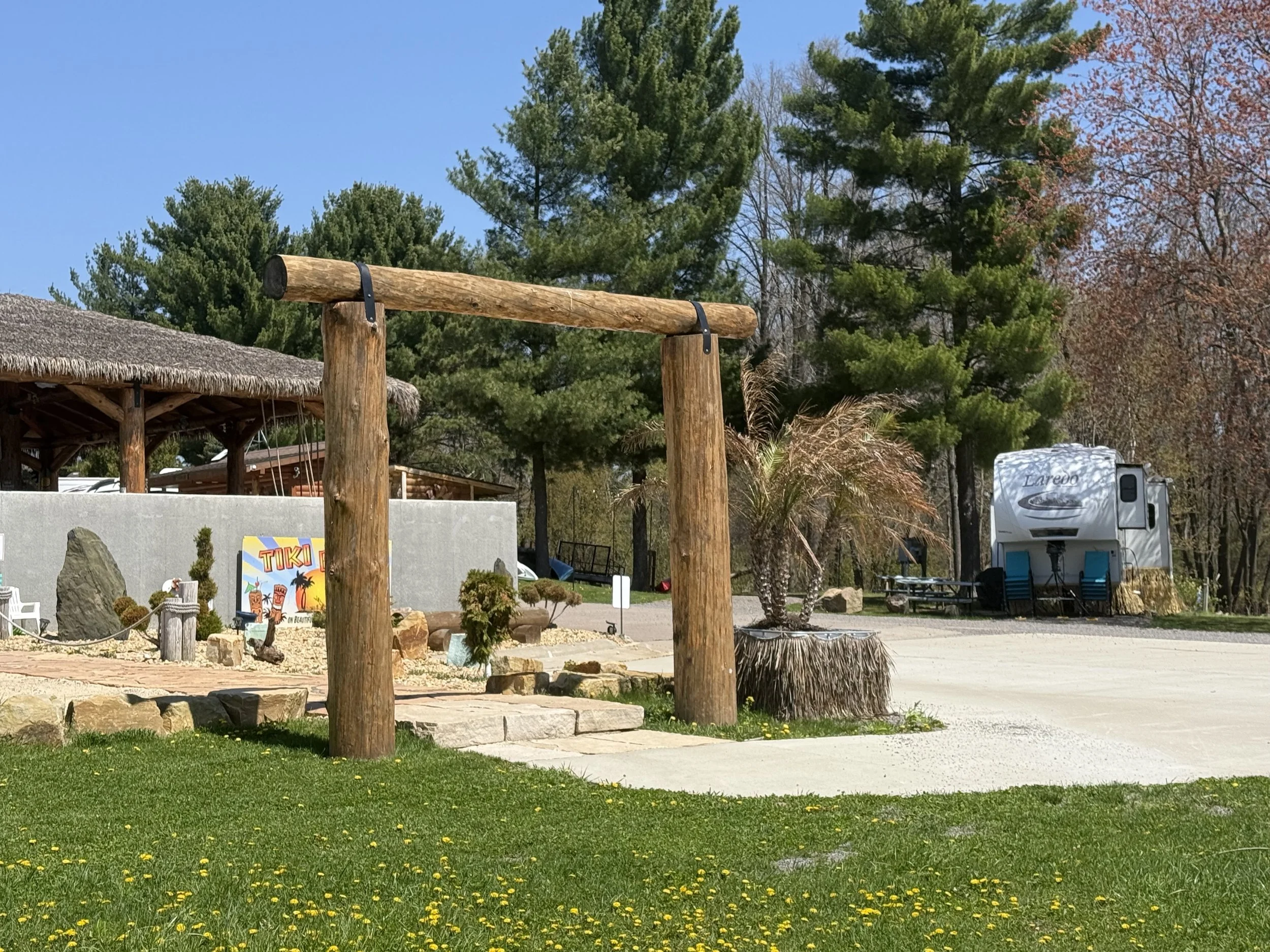 Outdoor scene with a grassy area filled with small yellow flowers in the foreground, a gravel pathway, wooden structures and trees in the background under a clear blue sky.
