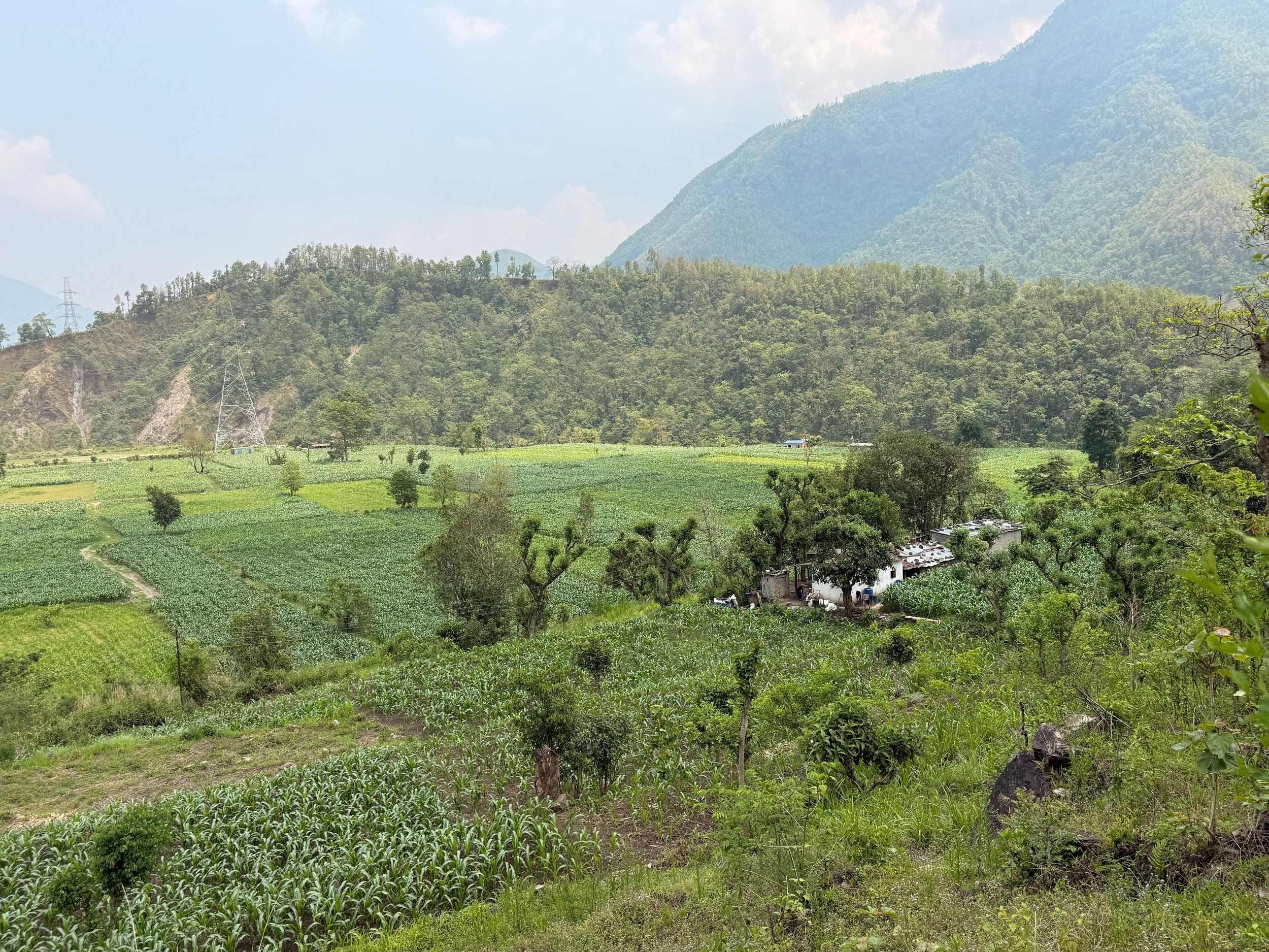 Lush green landscape with a mountain range in the background, small trees scattered across the fields, and a few buildings near the base of the mountain.