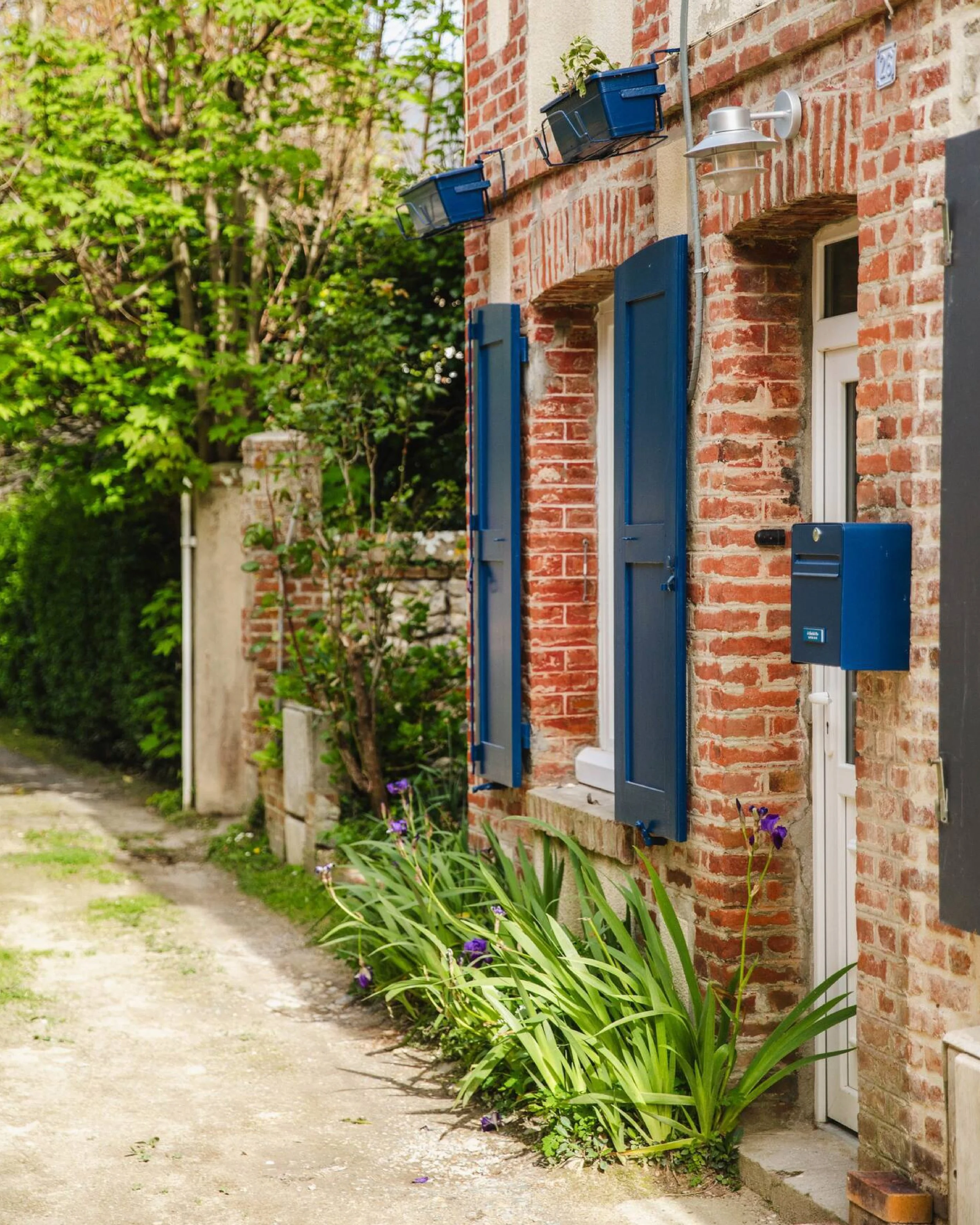 A brick house with windows that have blue shutters. There is a street lamp and a blue mailbox outside. Green plants and purple flowers grow along the sidewalk in front of the house.