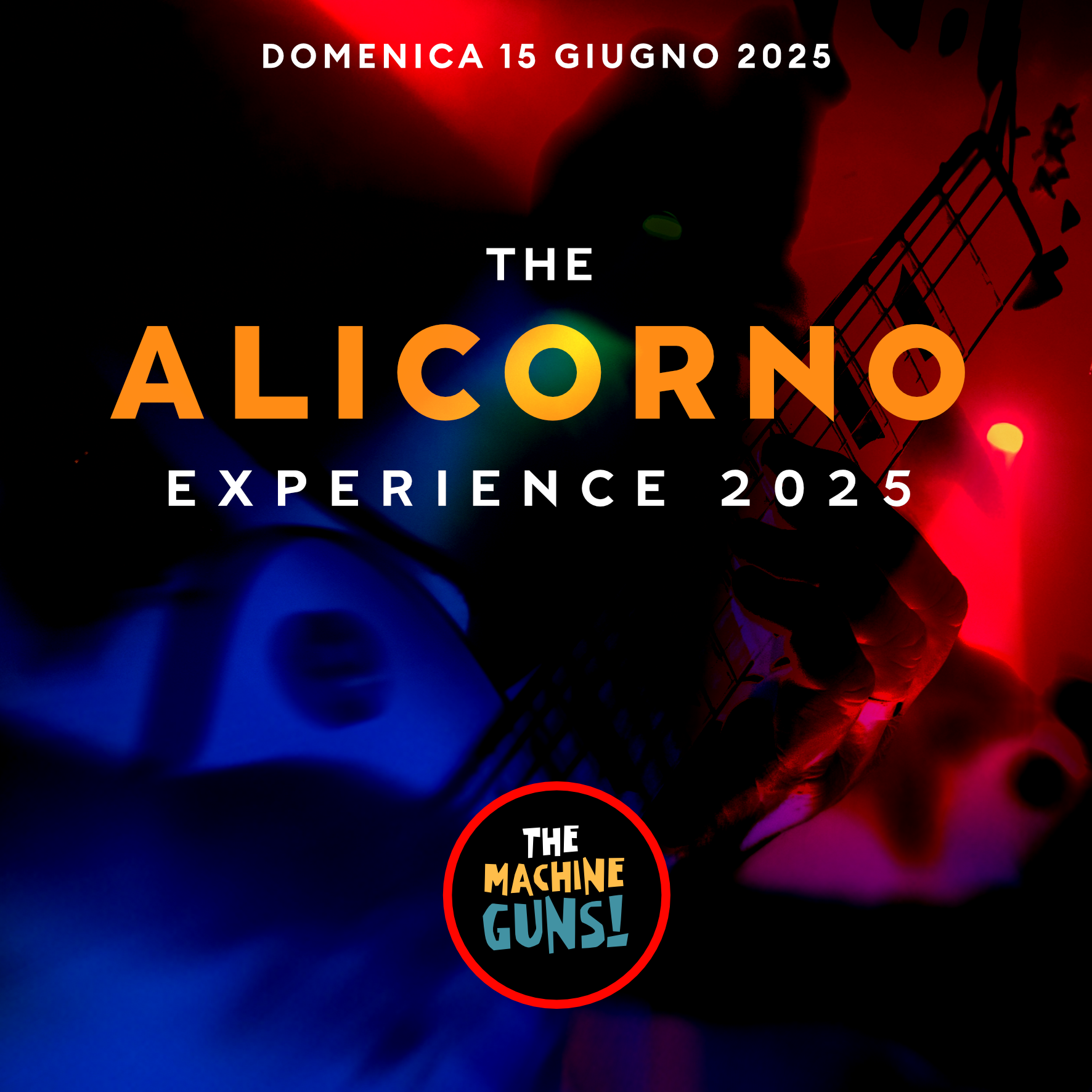 Alicorno Experience 2025