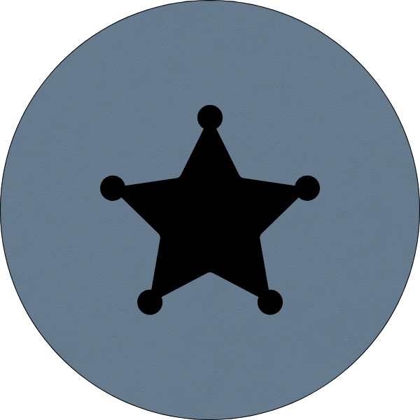 Silver police badge with a five-pointed star in the center.
