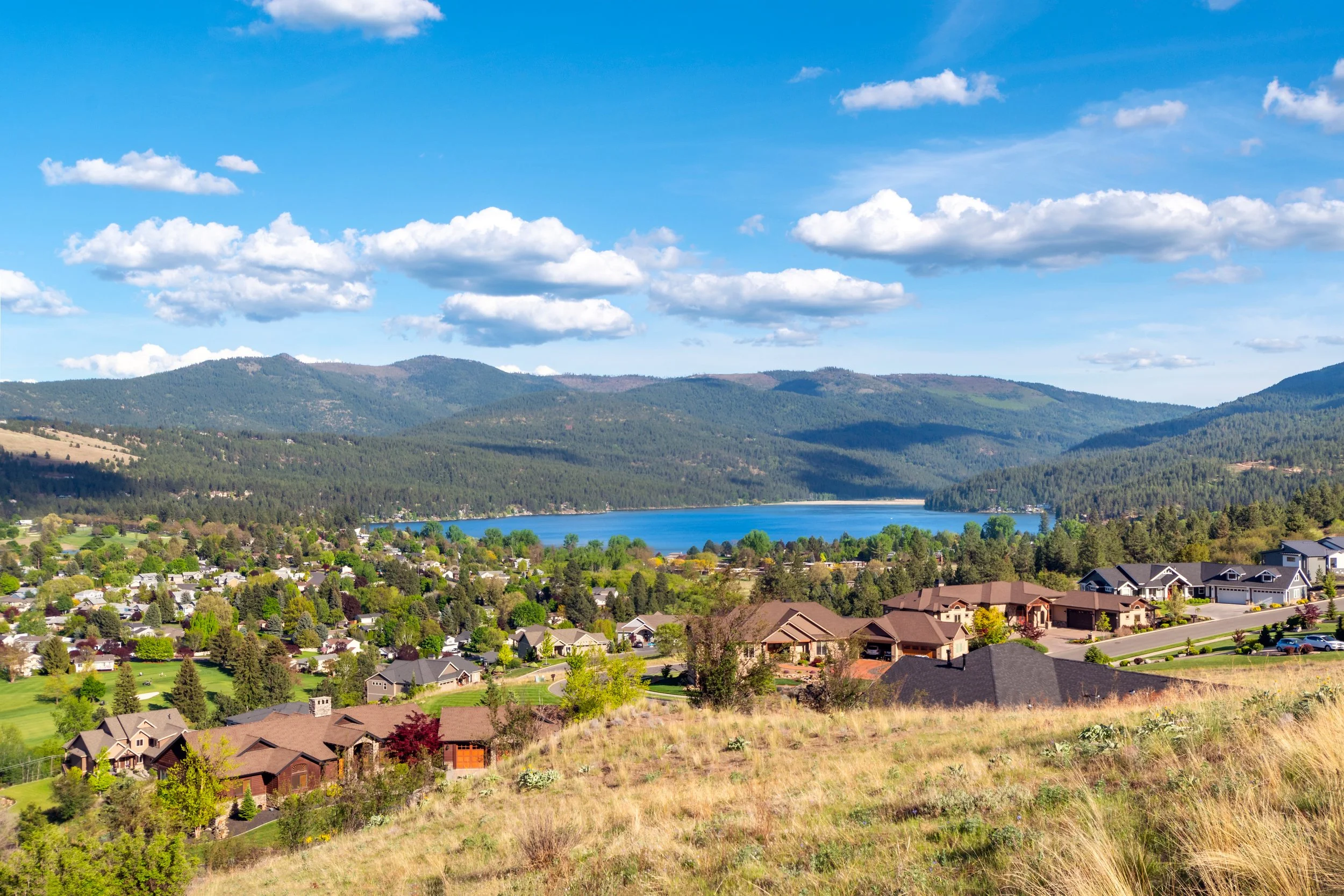 Residential neighborhood with houses surrounded by trees, overlooking a body of water and green mountains in the distance under a partly cloudy blue sky.