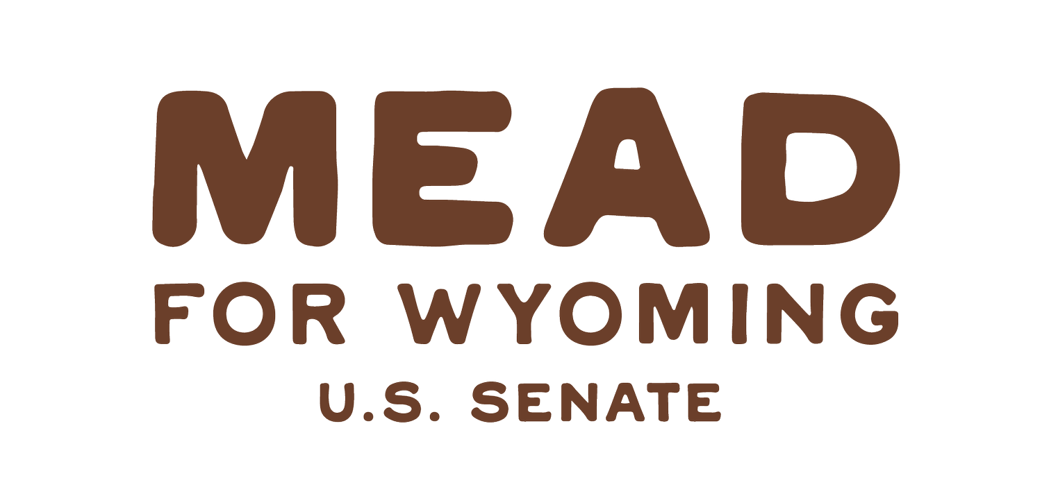 Mead For Wyoming