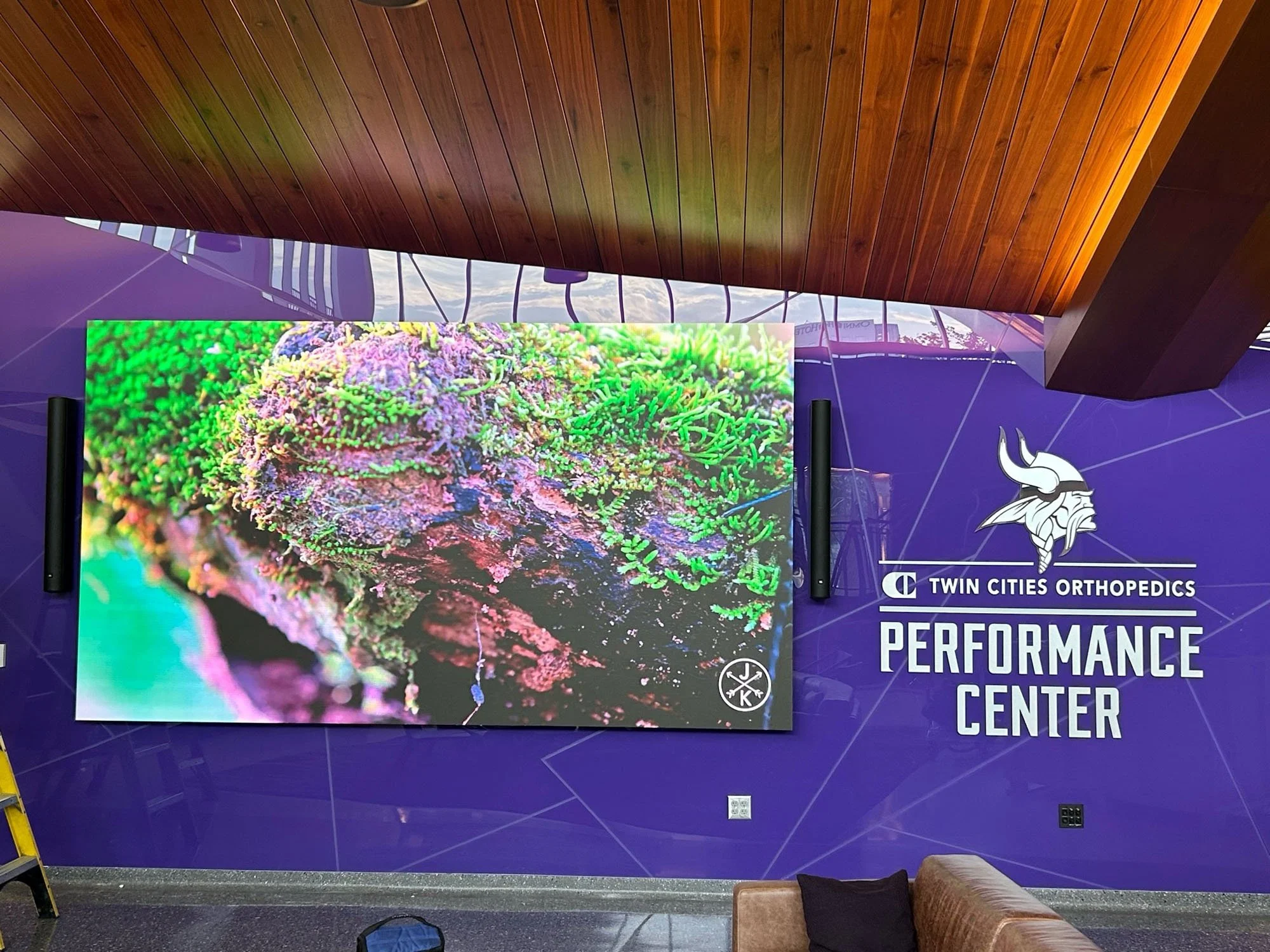 MN Vikings Lobby Wall 6.jpg