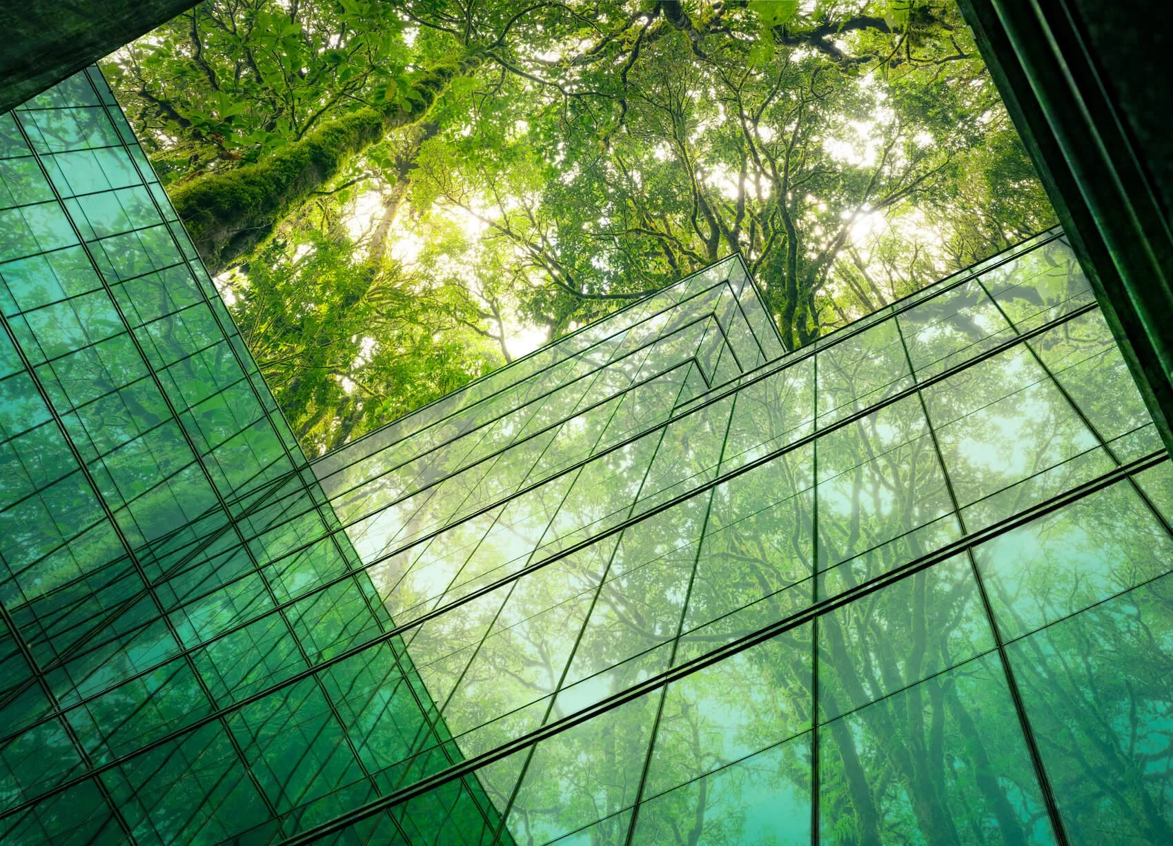 Looking up towards the sky and trees from the exterior of a modern glass eco-friendly building