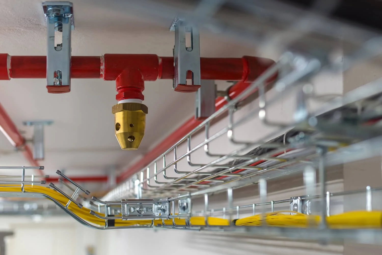 Fire suppression system