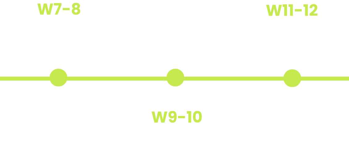 A project timeline with three sections: W7-8 for speed reaction and awareness, W9-10 for finishing, and W11-12 for group play.