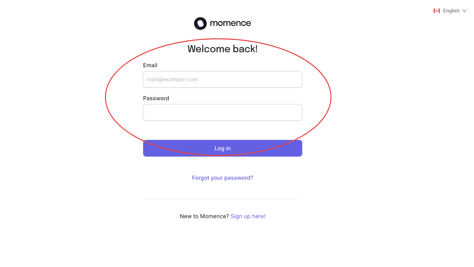 Login page for Momence website with fields for email and password, a blue log-in button, and options for language and password reset.