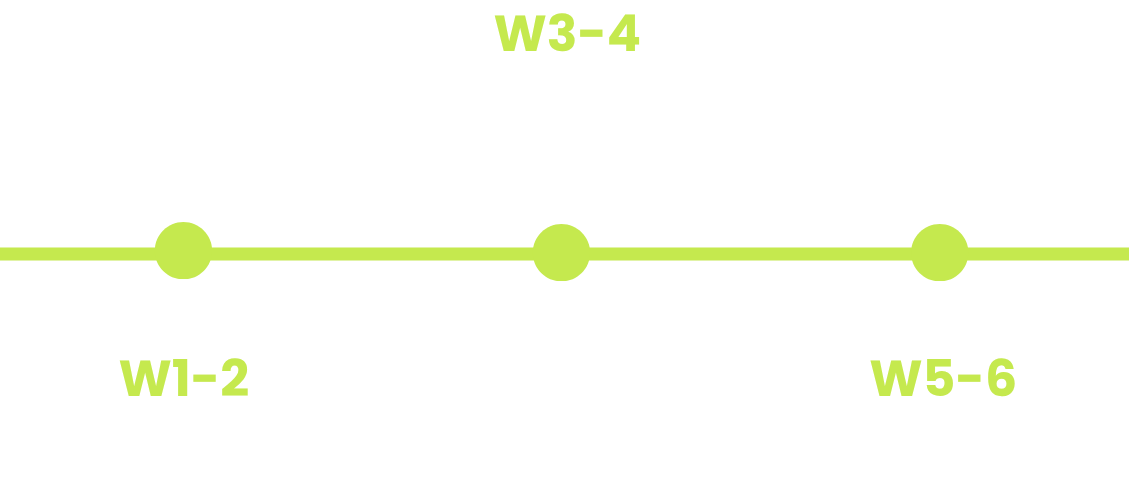 Flowchart illustrating basketball skills progression: W1-2 Ball mastery and turns, W3-4 passing and receiving, W5-6 1v1 attacking and defending.