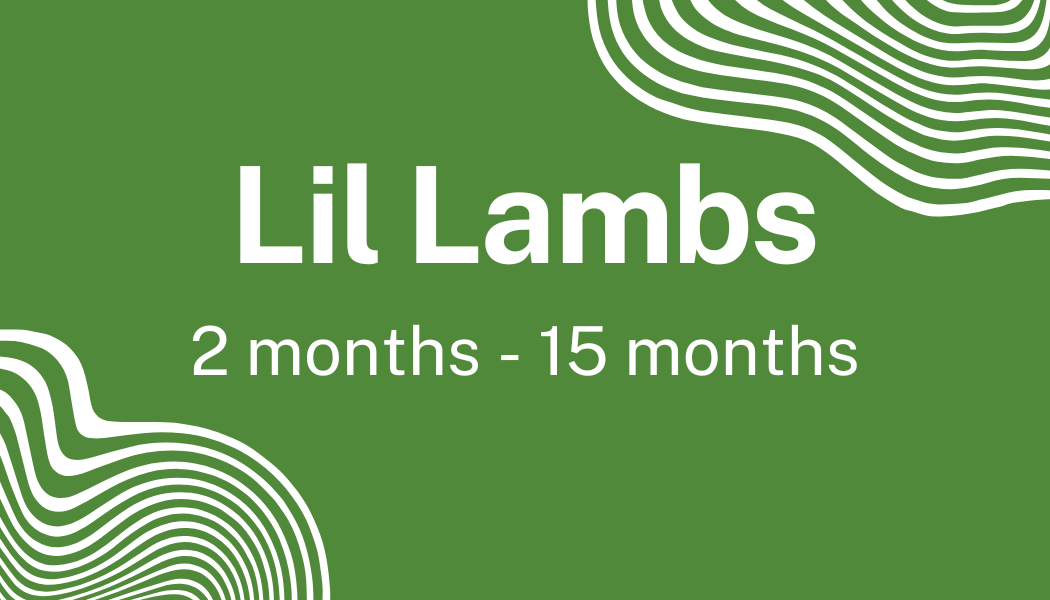 Green background with white text reading 'Lil Lambs 2 months - 15 months' and abstract white line patterns in the corners.