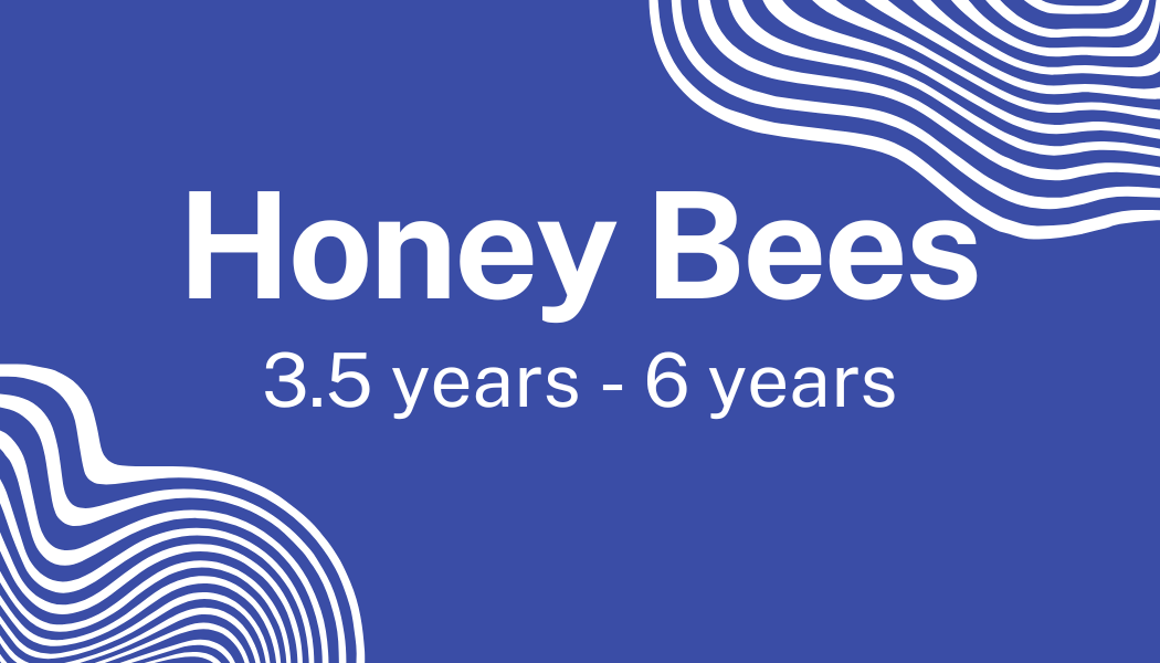 Blue background with white swirling line patterns and text reading "Honey Bees 3.5 years - 6 years".