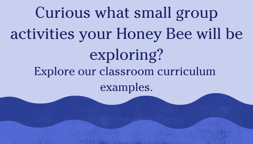 A classroom poster with a blue background and wave pattern, asking if small group activities for honey bees will be explored in the curriculum.
