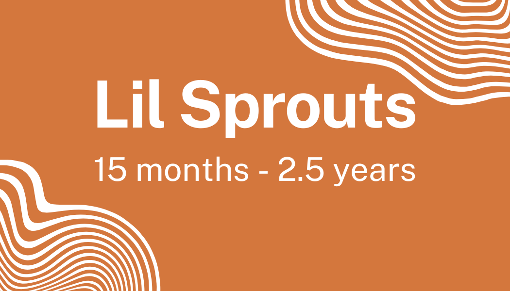 Infographic with a brown background, white wavy lines in the corners, and white text that reads 'Lil Sprouts, 15 months - 2.5 years'.