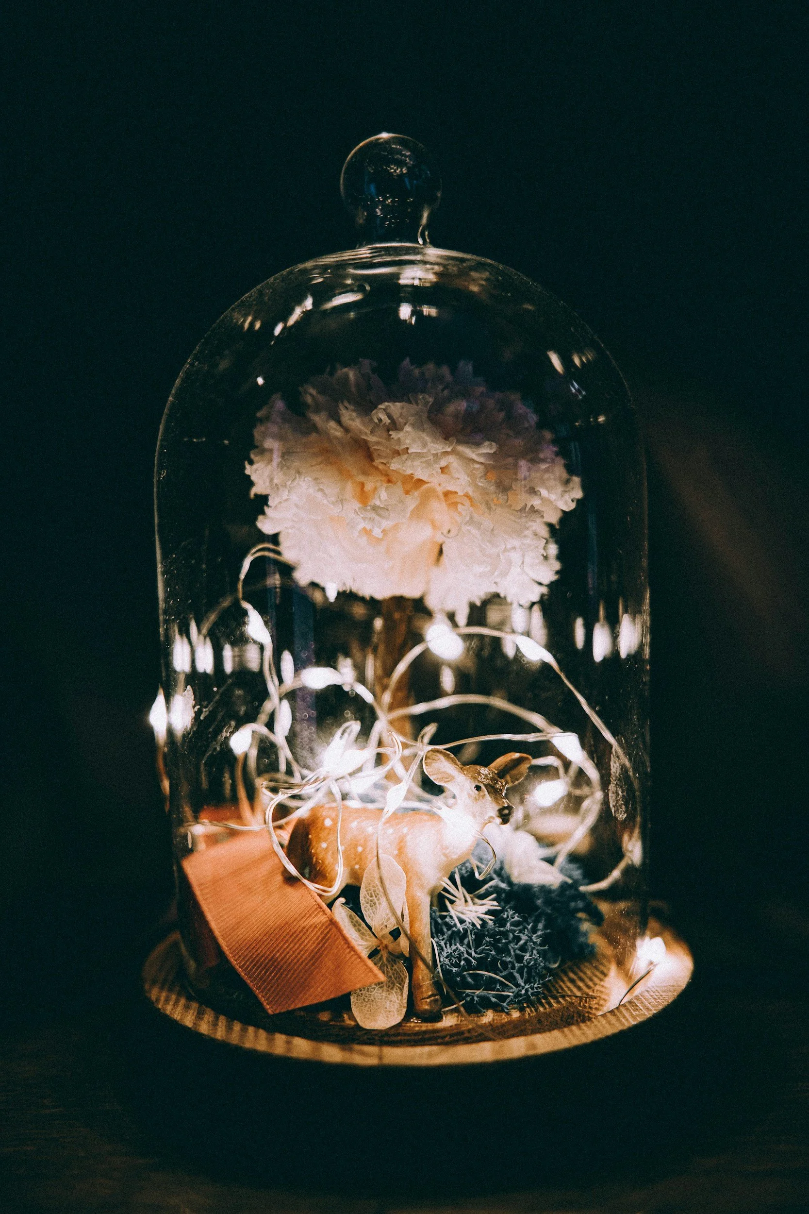 Witness, You are being Preserved