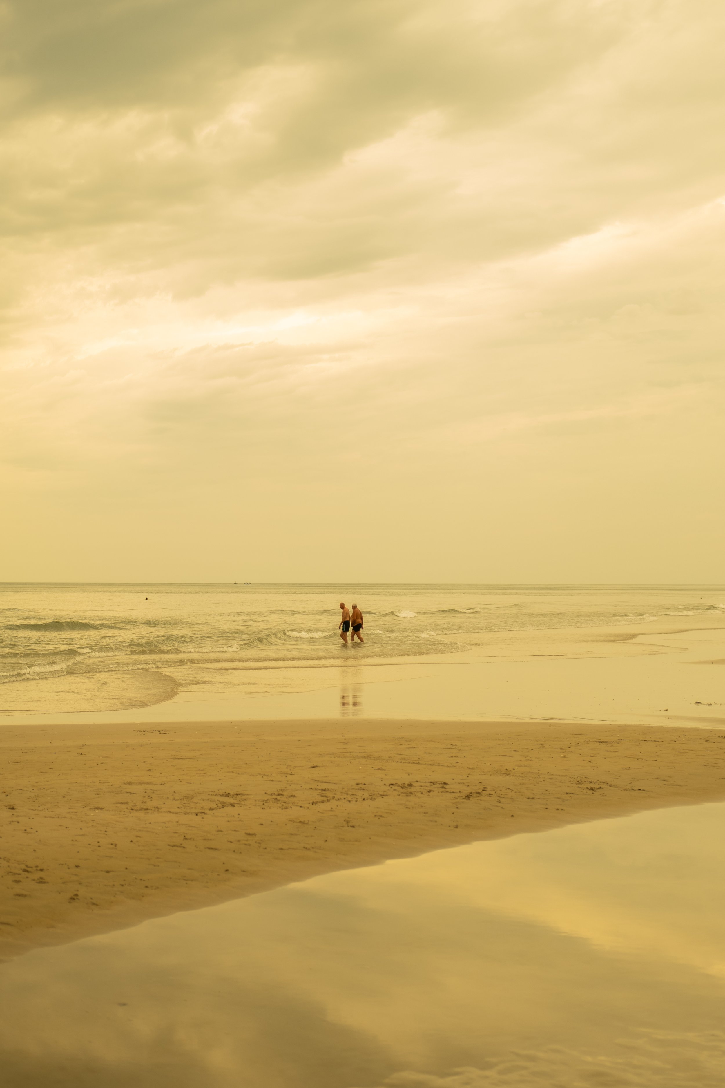 DSCF9488.jpg