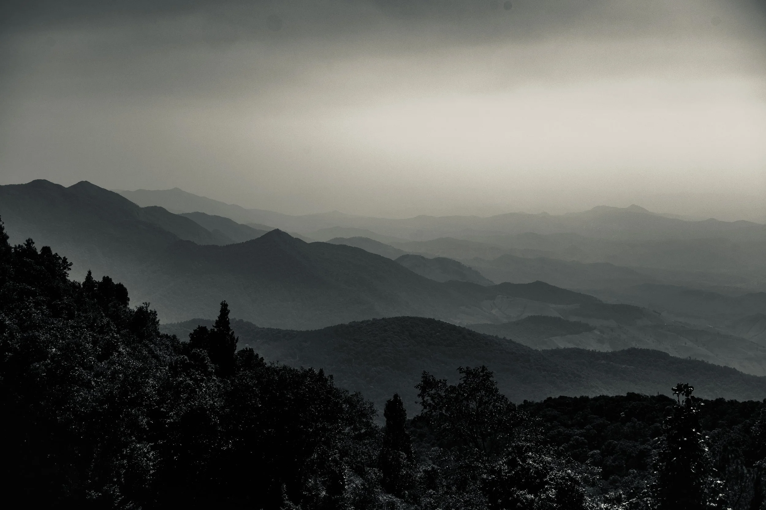 DSCF8728.jpg