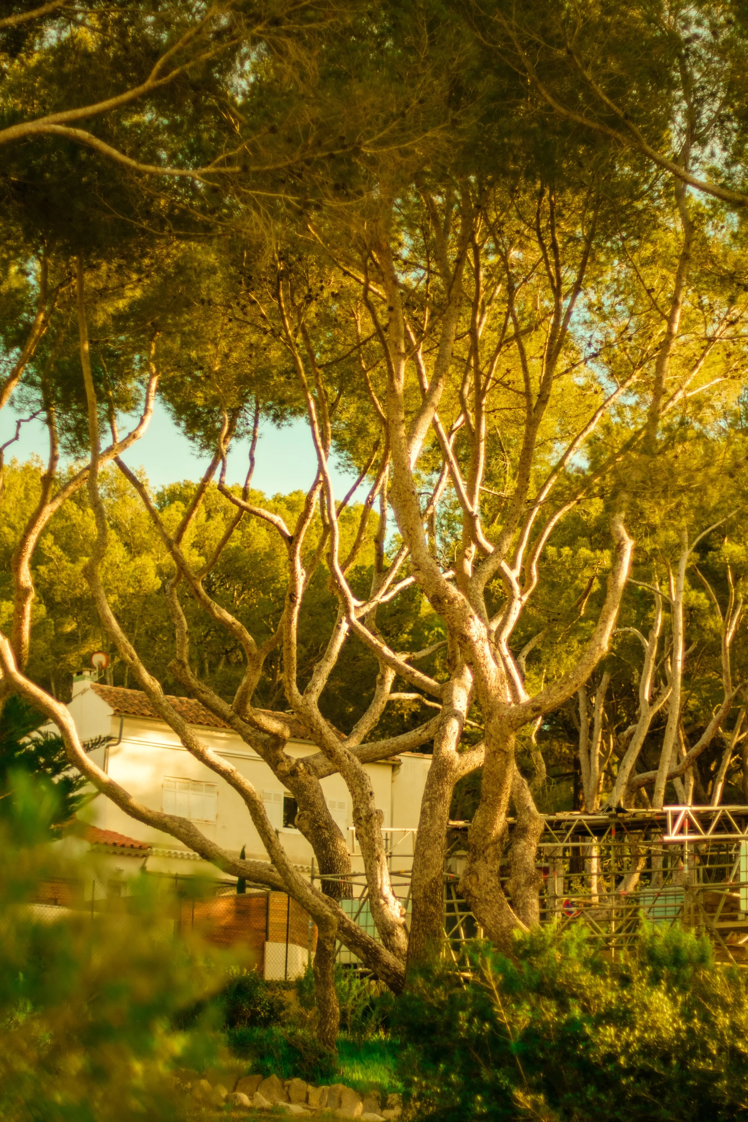 DSCF4299.JPG