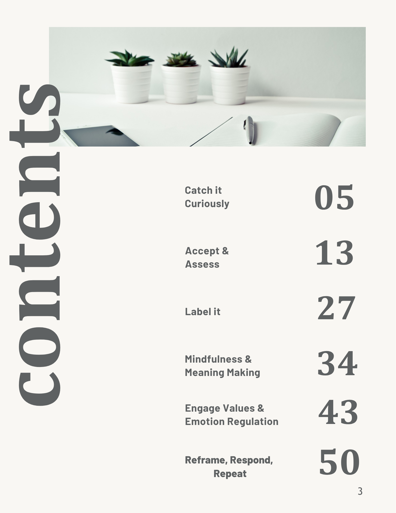 CALMER Contents.png