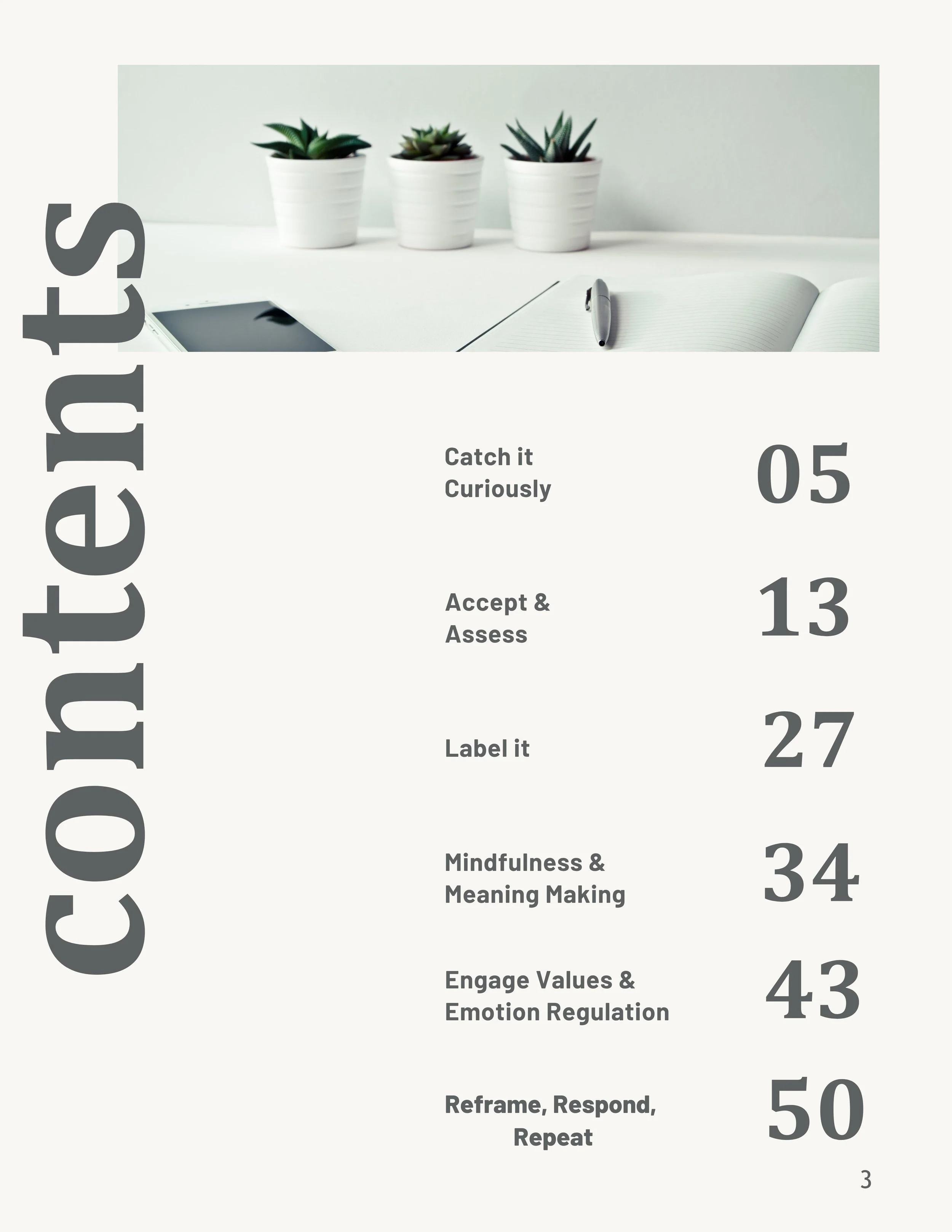 CALMER table fo contents(8.5 x 11 in).jpg