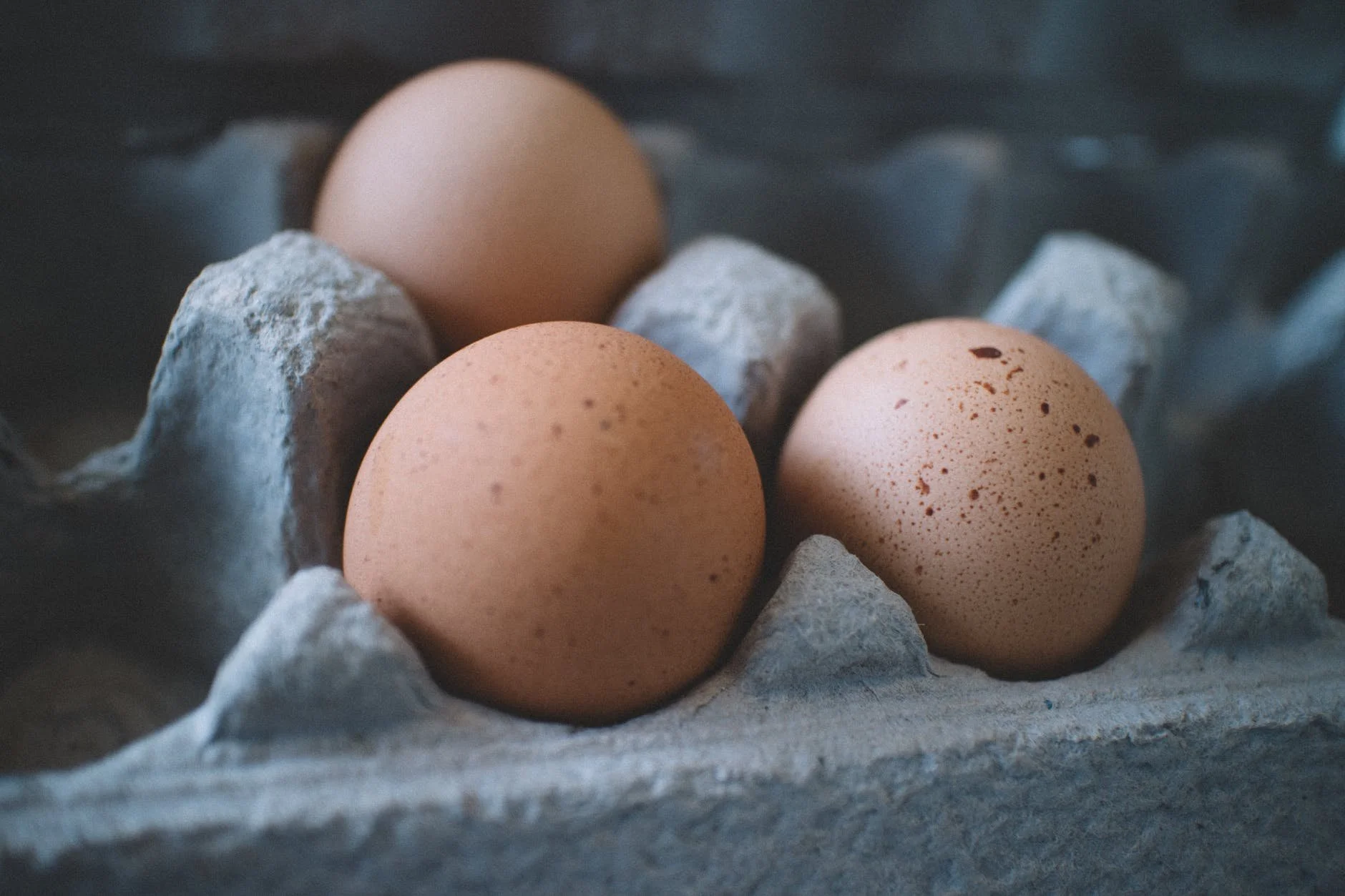 Butternut Squash &amp; Eggs