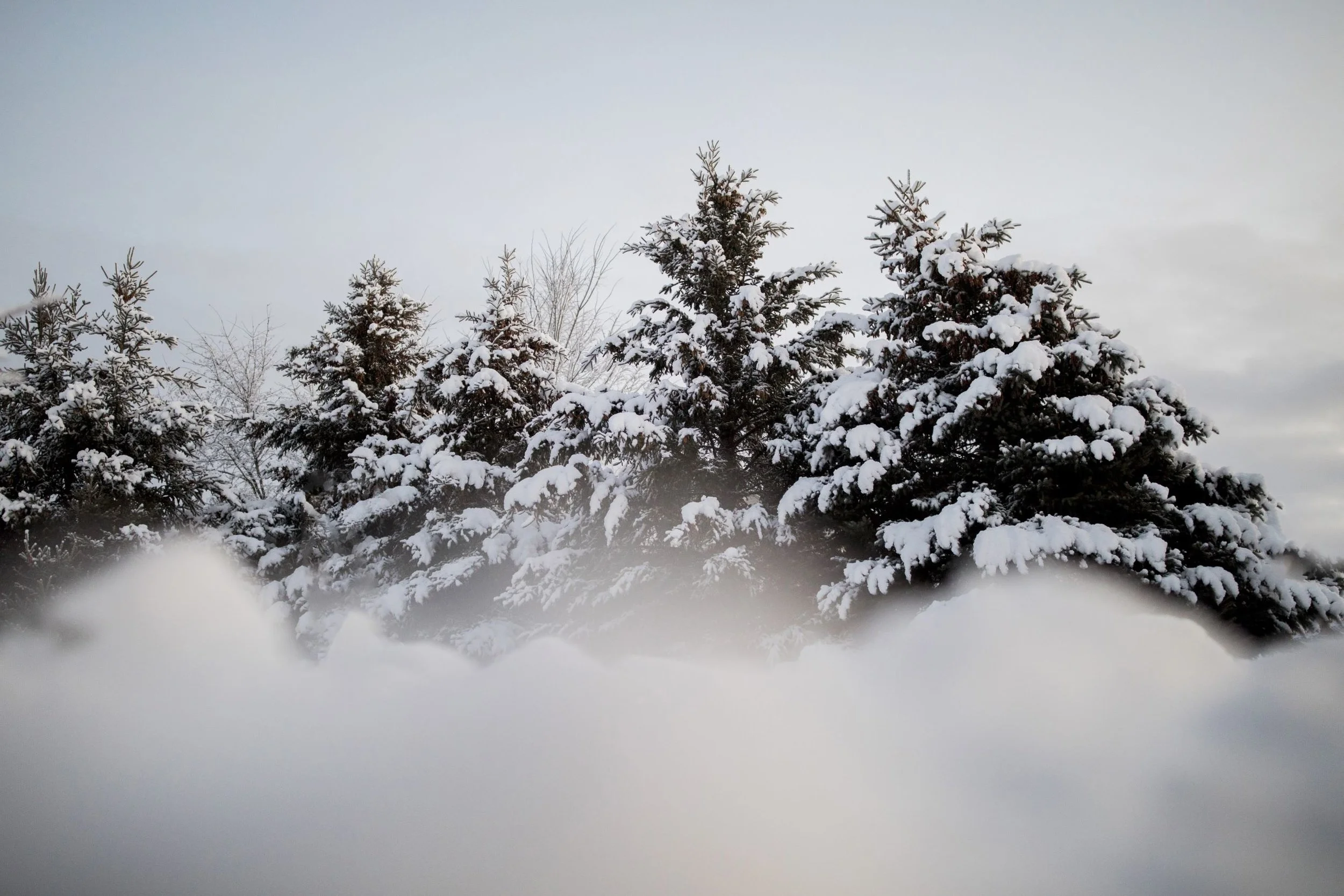 Embrace Your Inner Winter: The Key to Growth