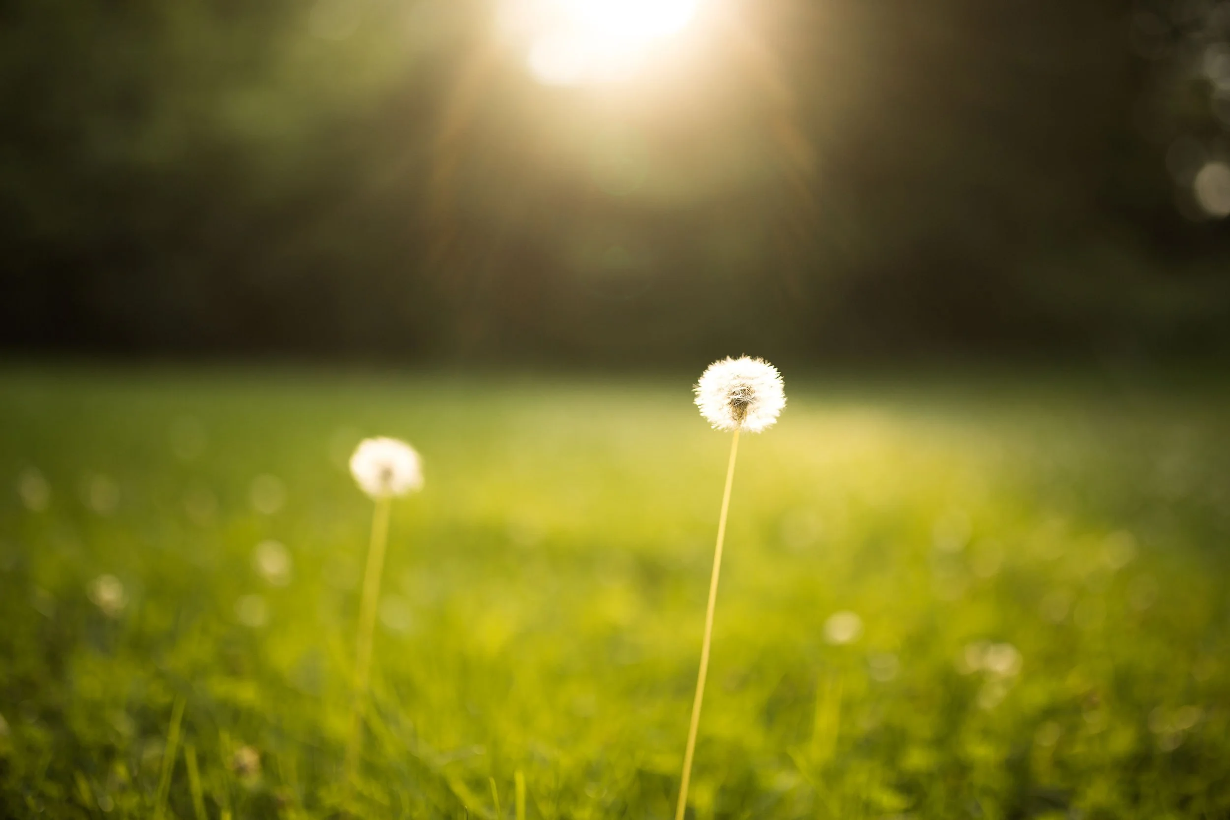 The Nervous System Reset Every Woman Needs This Spring