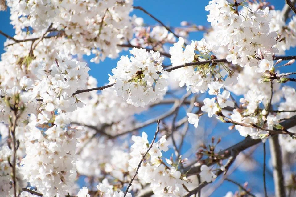 Why You Should Start A Mindfulness or Meditation Practice Today