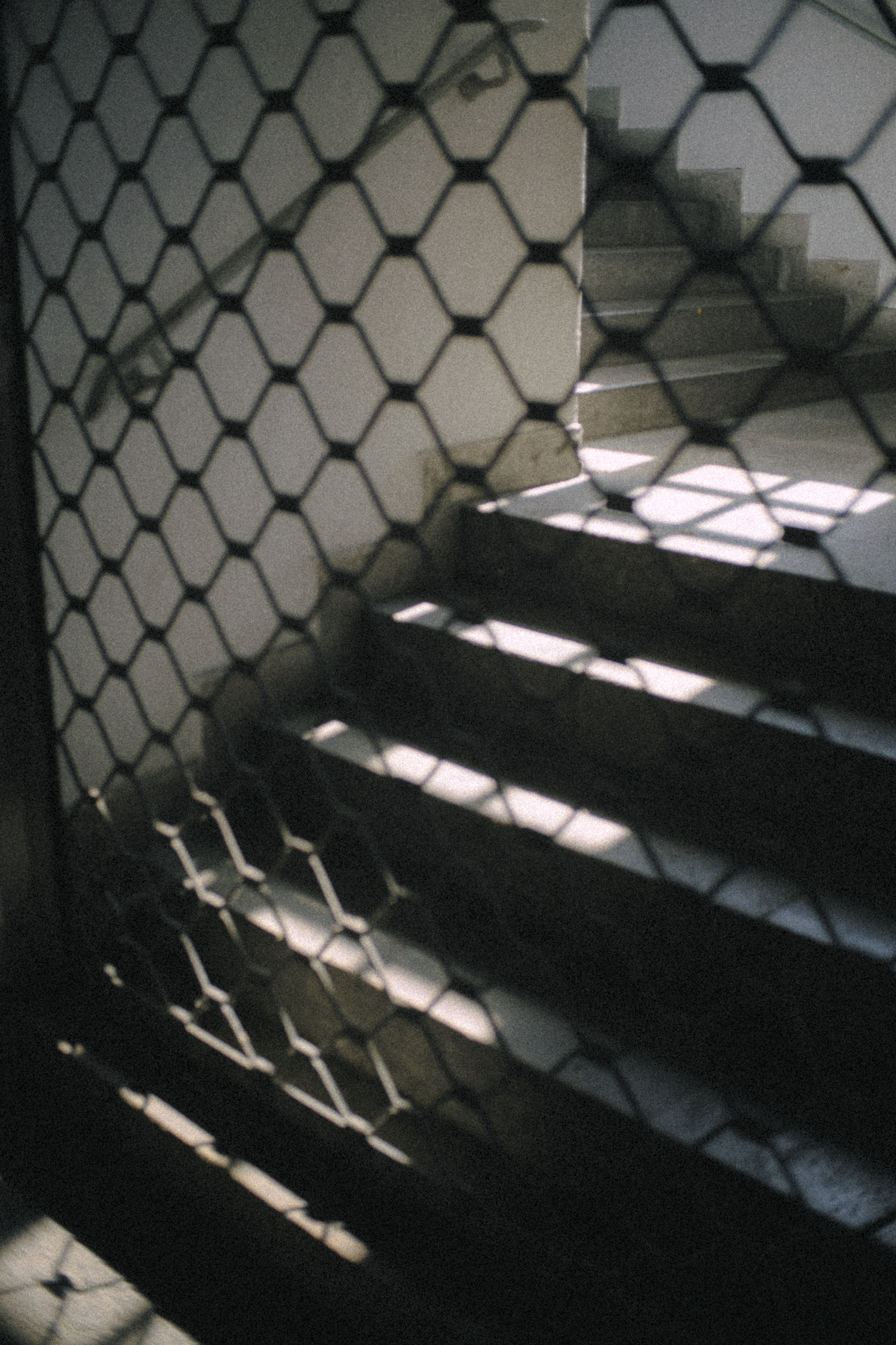 A staircase behind a metal honeycomb security gate, with sunlight casting shadows on the steps.