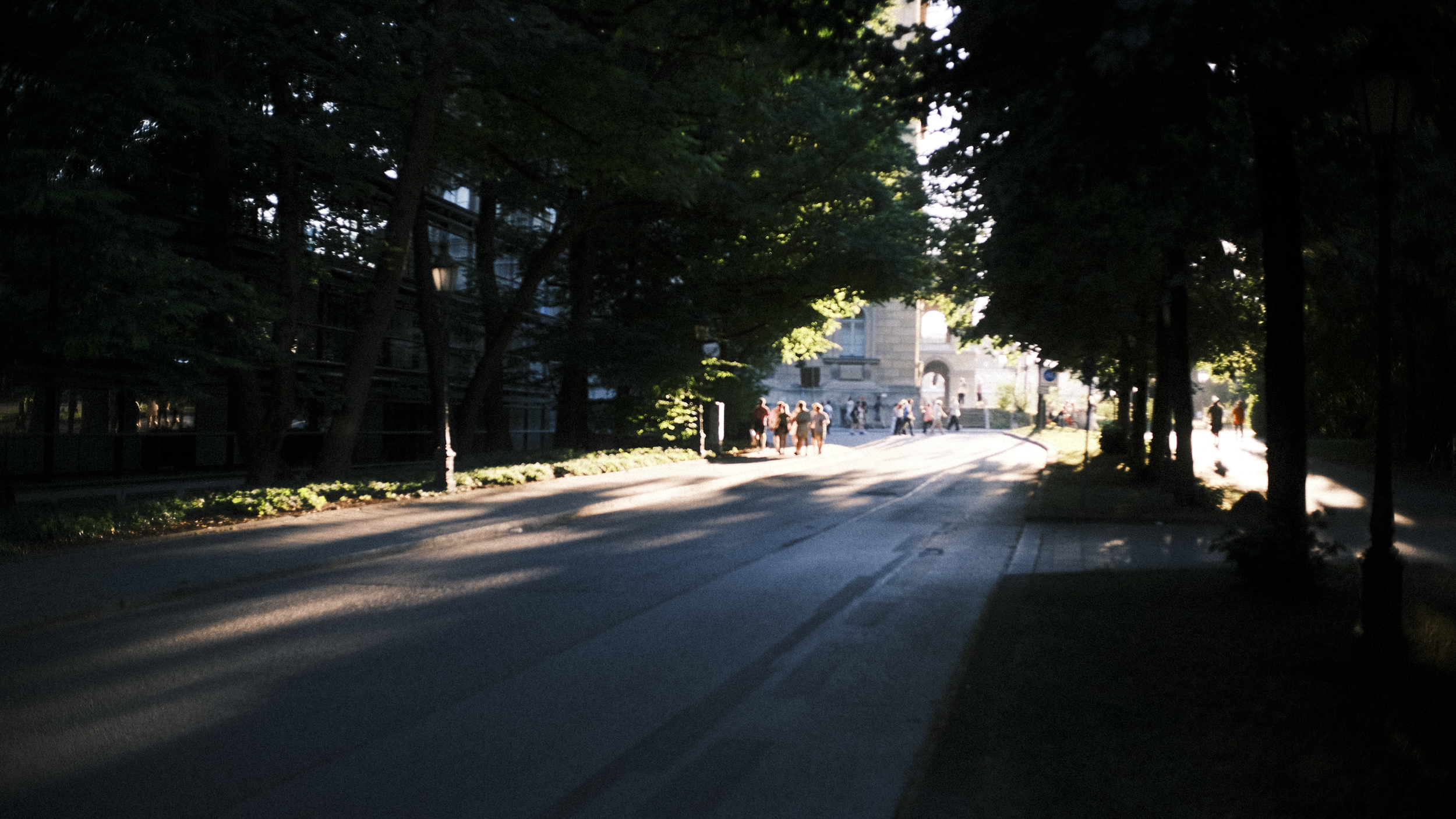 A city street in the evening with trees lining the sidewalk and people walking towards a large building in the background. The scene is illuminated by the setting sun.
