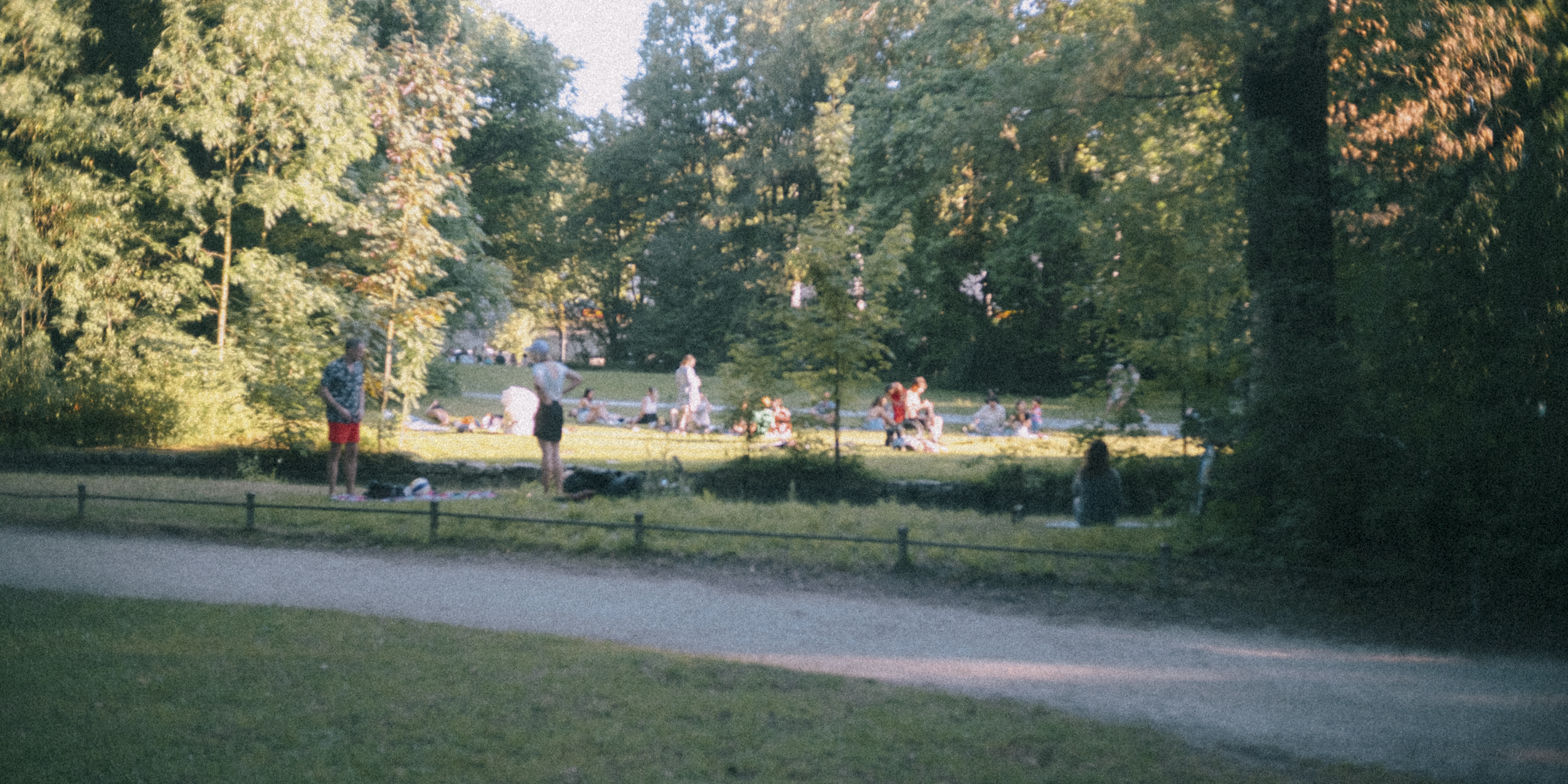 People enjoying a sunny day at the park with trees, grass, and a walking path.