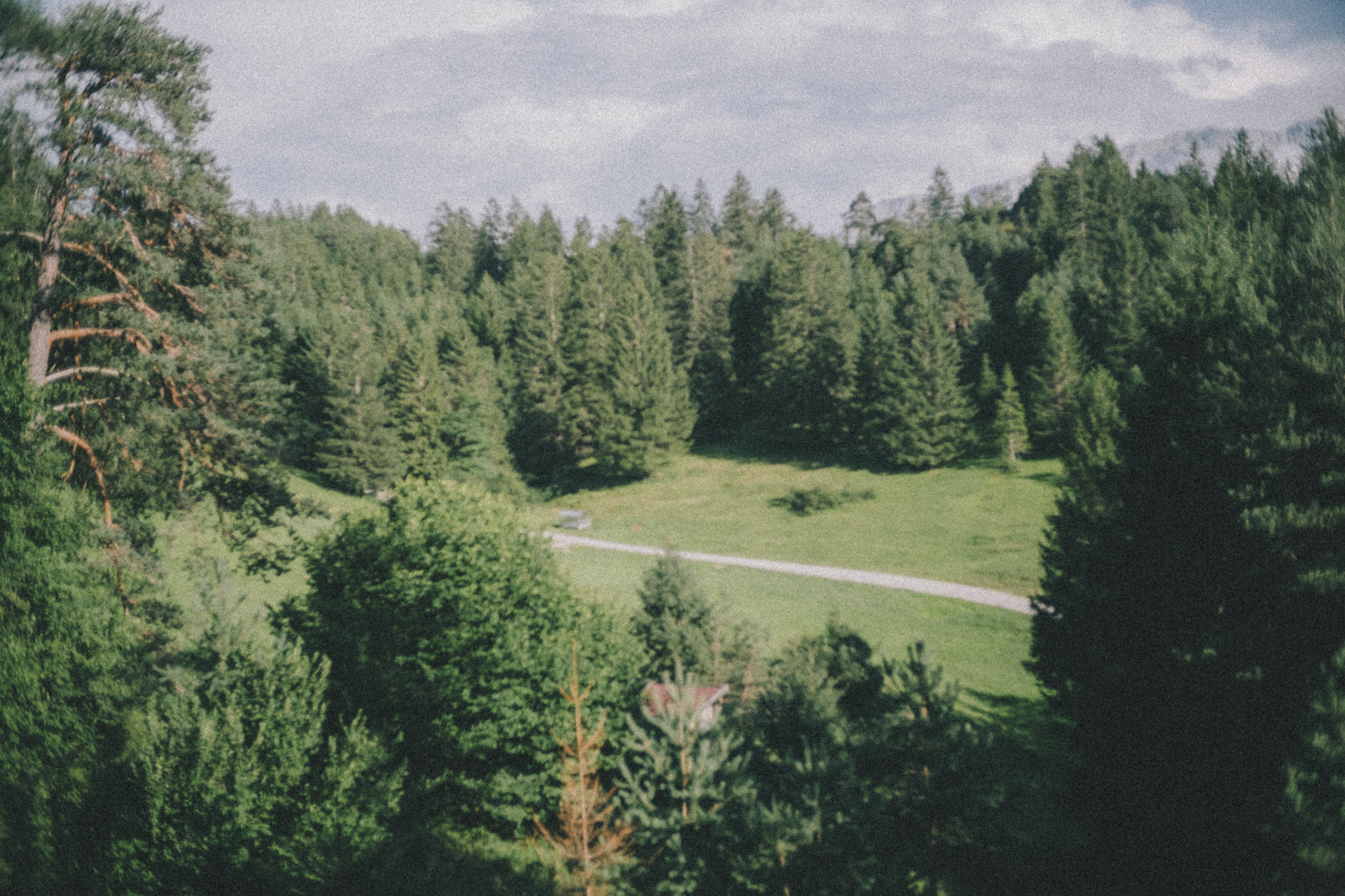 Scenic view of a green forest with tall trees and a grassy clearing with a walking path, under a cloudy sky.