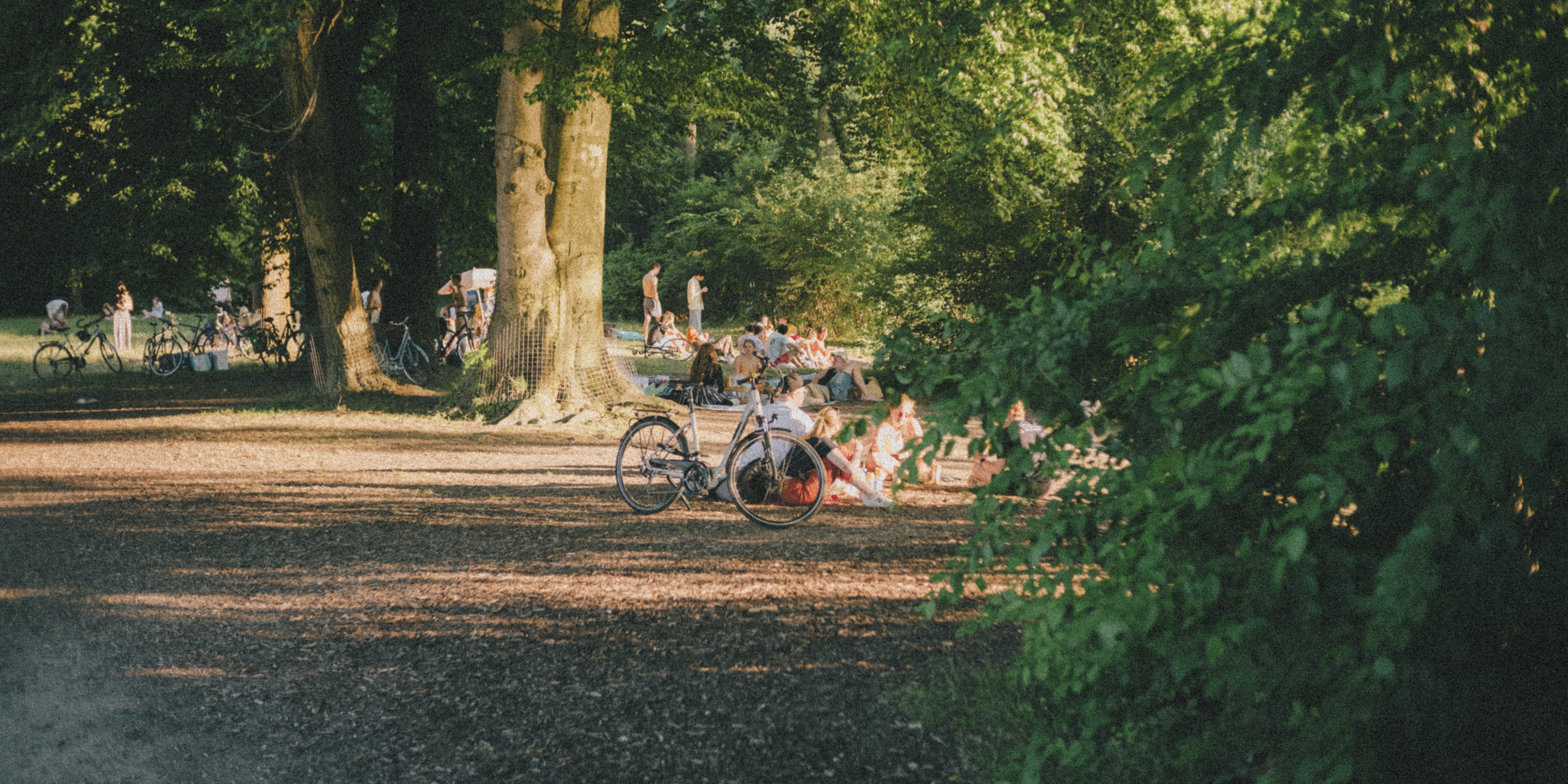 People relaxing and socializing in a park with large trees, some sitting on benches, some standing, bicycles parked nearby, and lush green foliage creating a shaded environment.