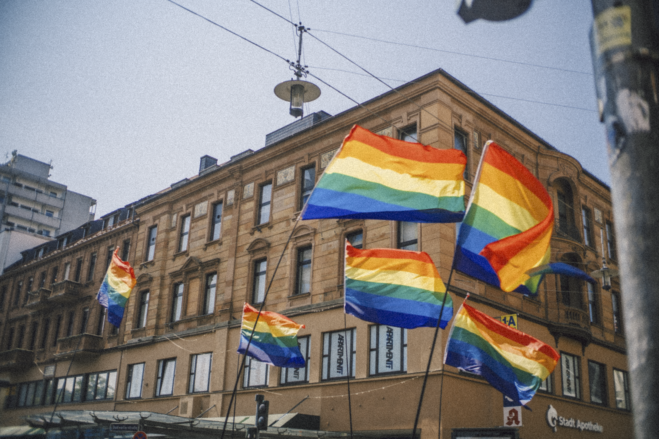 Several rainbow pride flags hang outside on a city street, with a historic building in the background.