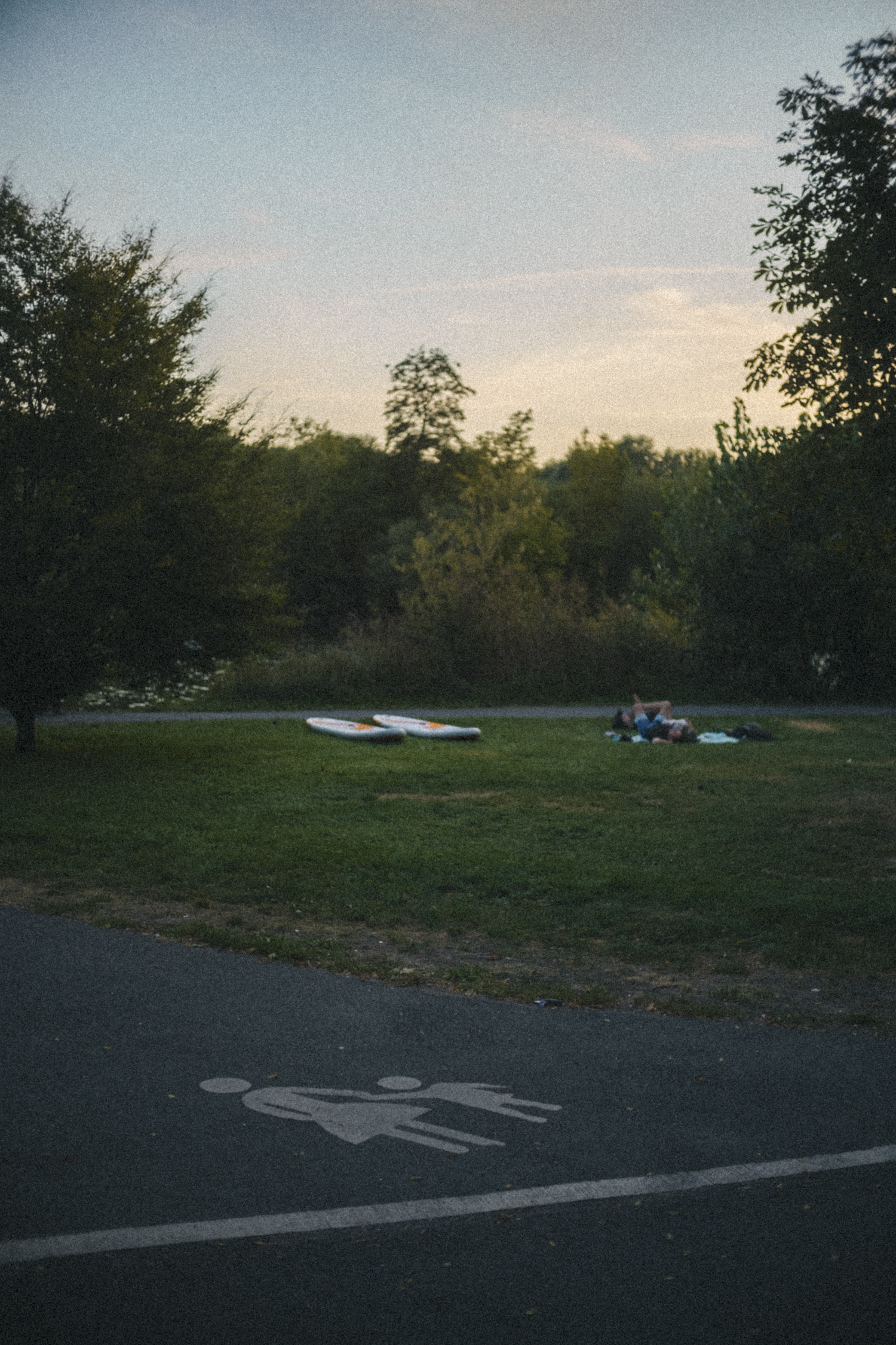 Two paddleboards are lying on the grass beside a paved path. A person is relaxing on a blue towel on the grass, surrounded by trees during dusk.