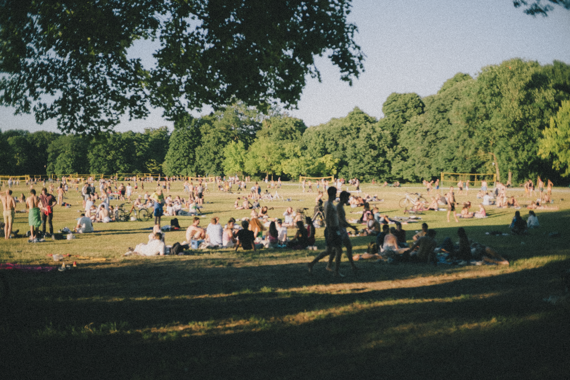 People enjoying a sunny day at a park with trees and a grassy field, some sitting in groups and others playing or walking.