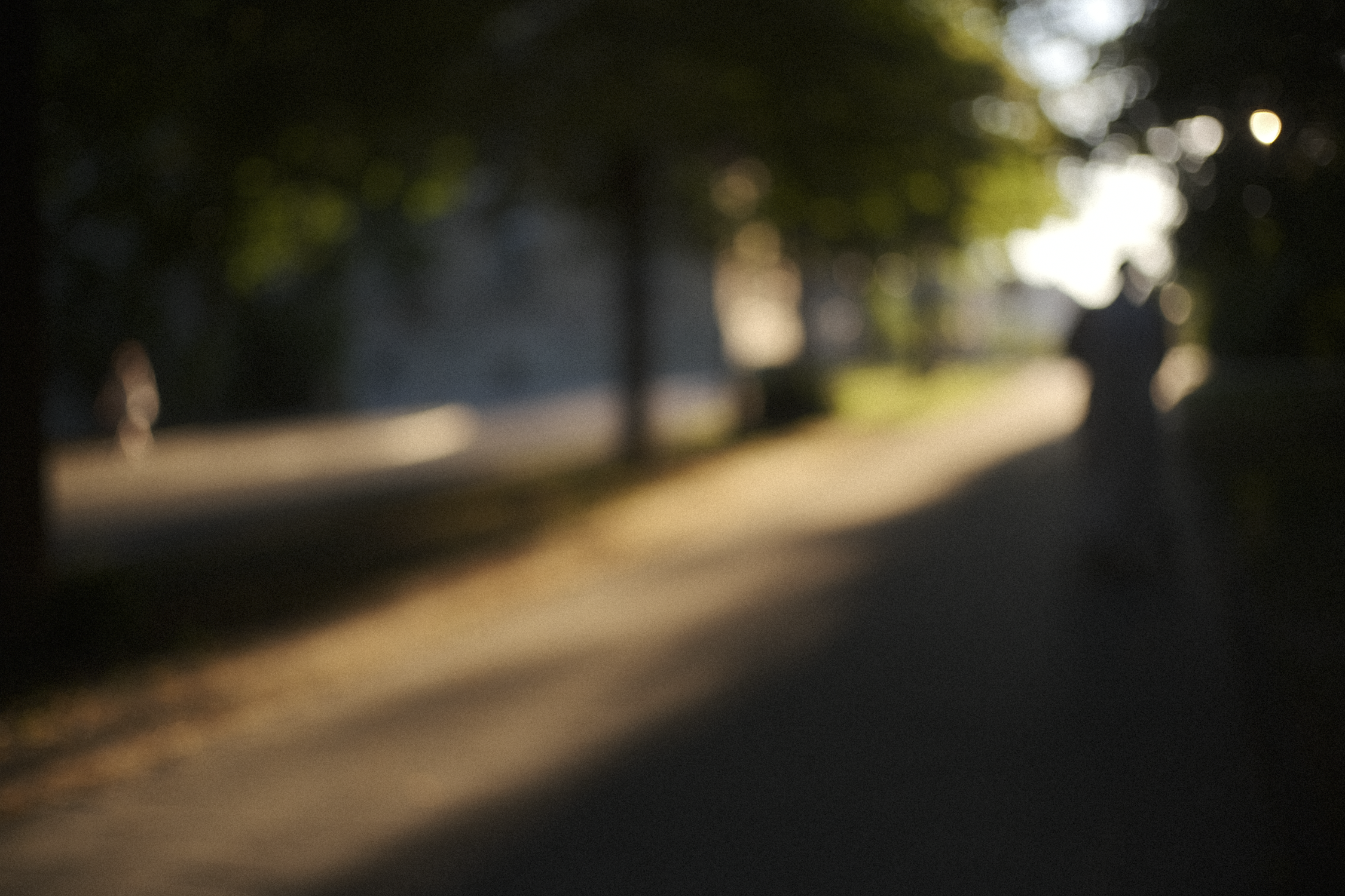 A blurred outdoor scene with trees, sunlight, and a person walking along a path.