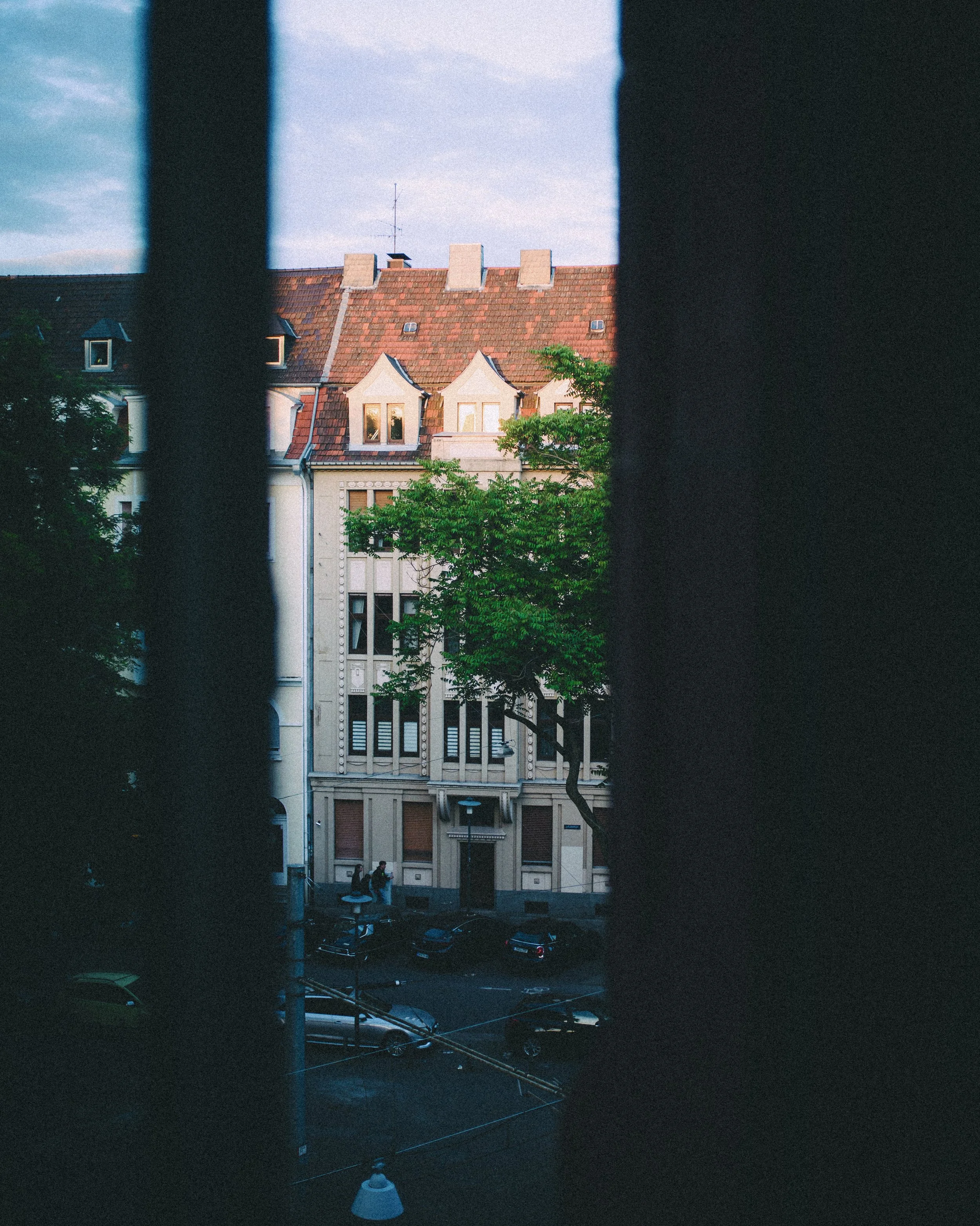 View of a city street through a window with dark blinds, showing residential buildings with a tree and parked cars.