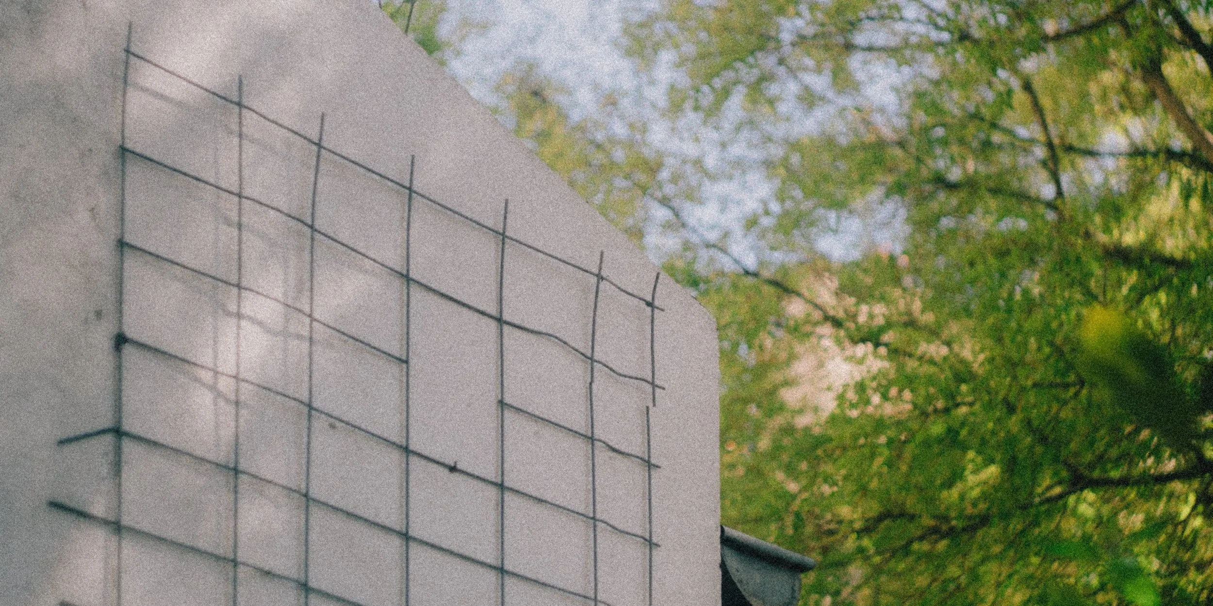 Close-up of a concrete wall with a metal wire grid attached, with green tree leaves and branches visible in the background.