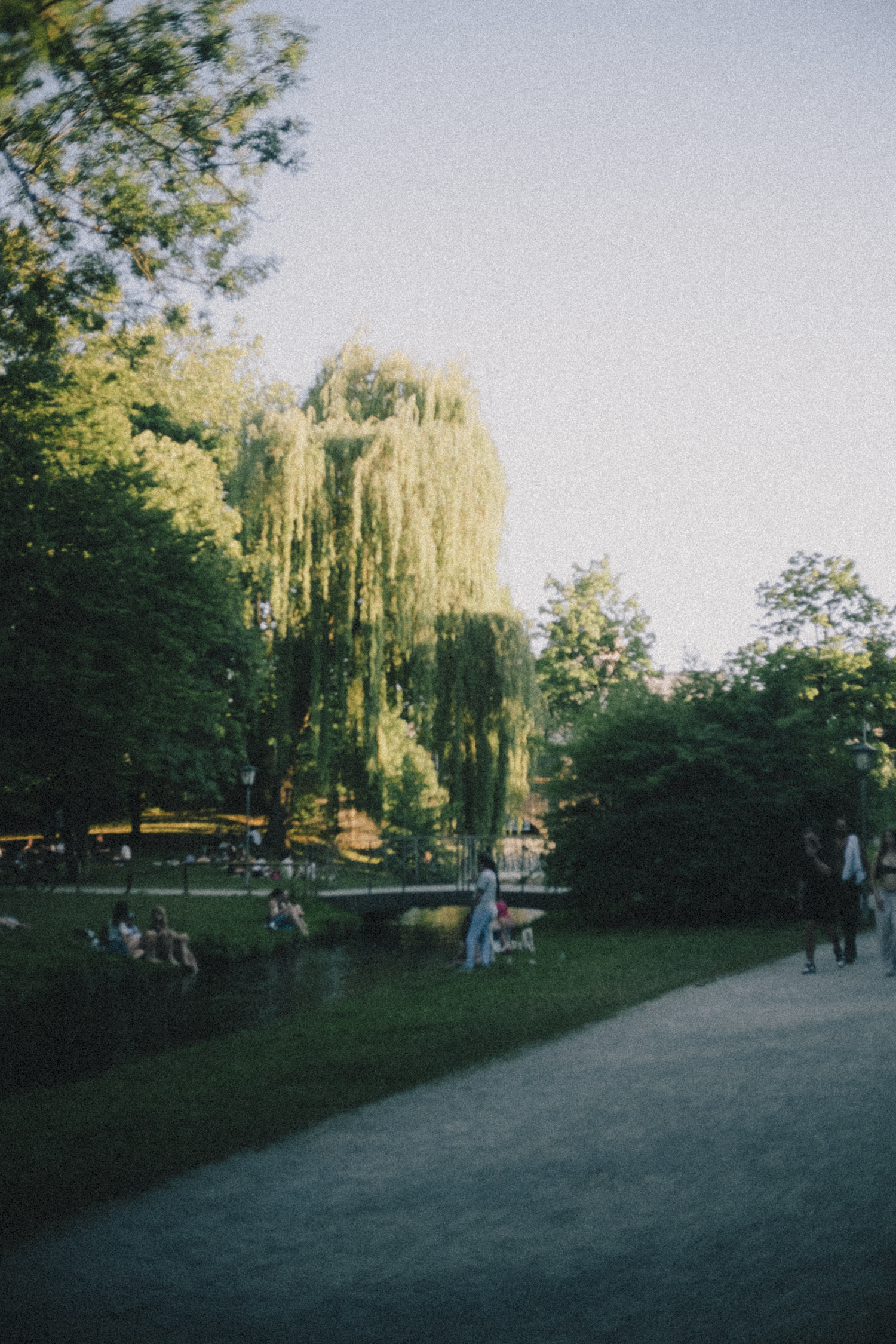 A park with lush green trees, a weeping willow, a small pond, and people sitting on benches and walking near the water during the daytime.