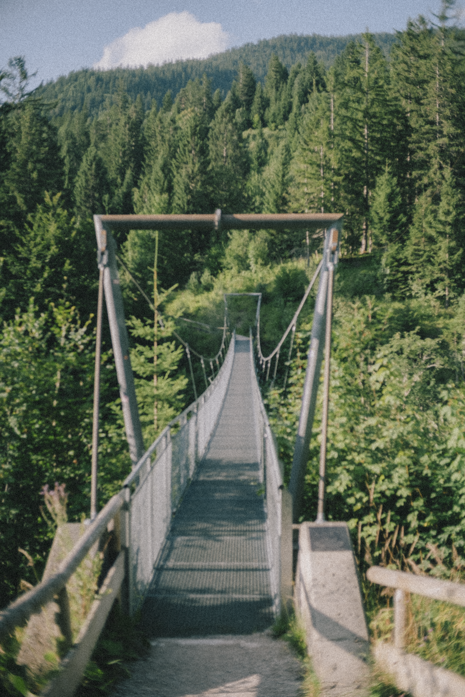Suspension bridge over lush green forest with mountains in the background.