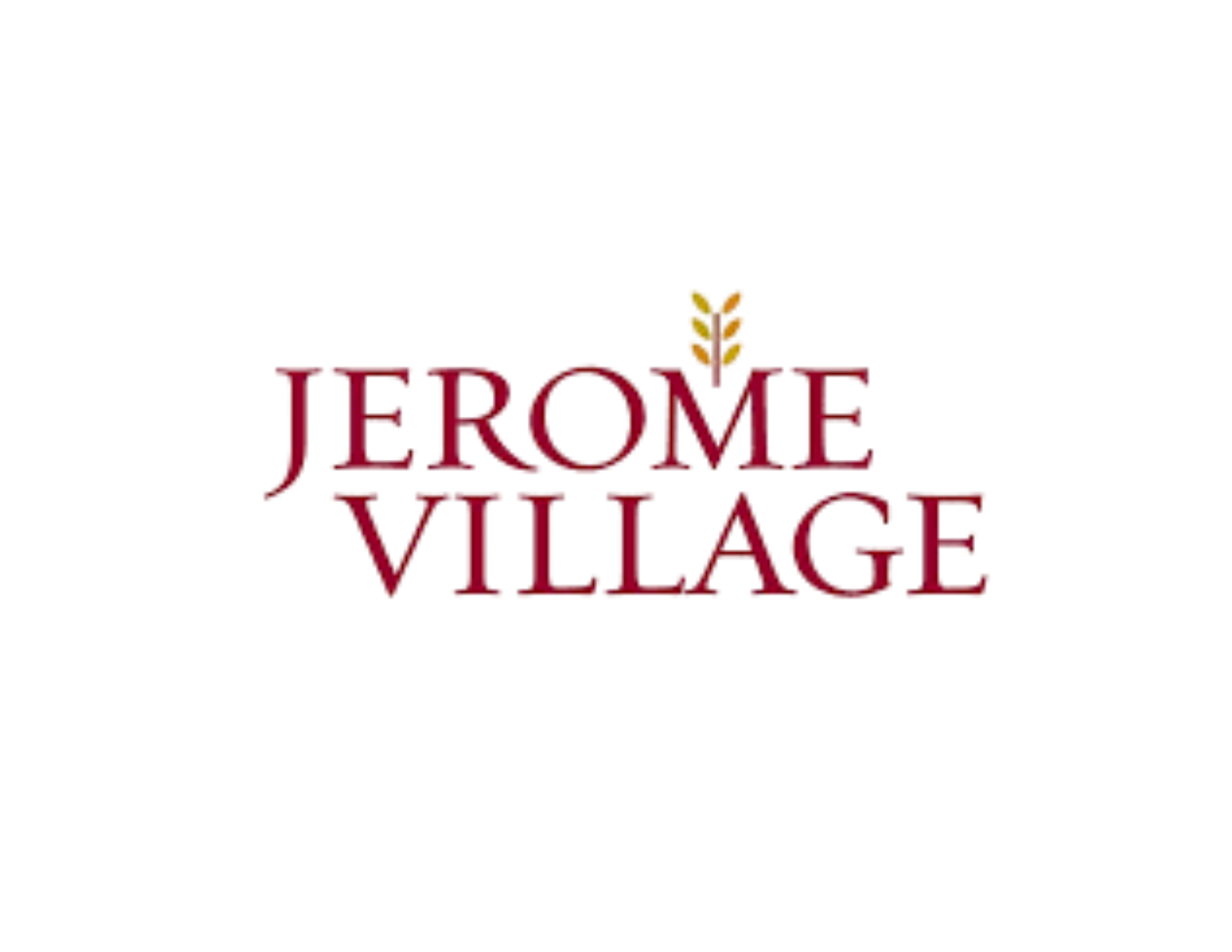 The image features the words "DREAM VILLAGE" in glowing red text with a yellow-orange leaf above the letter "I" in "VILLAGE." The background is black.
