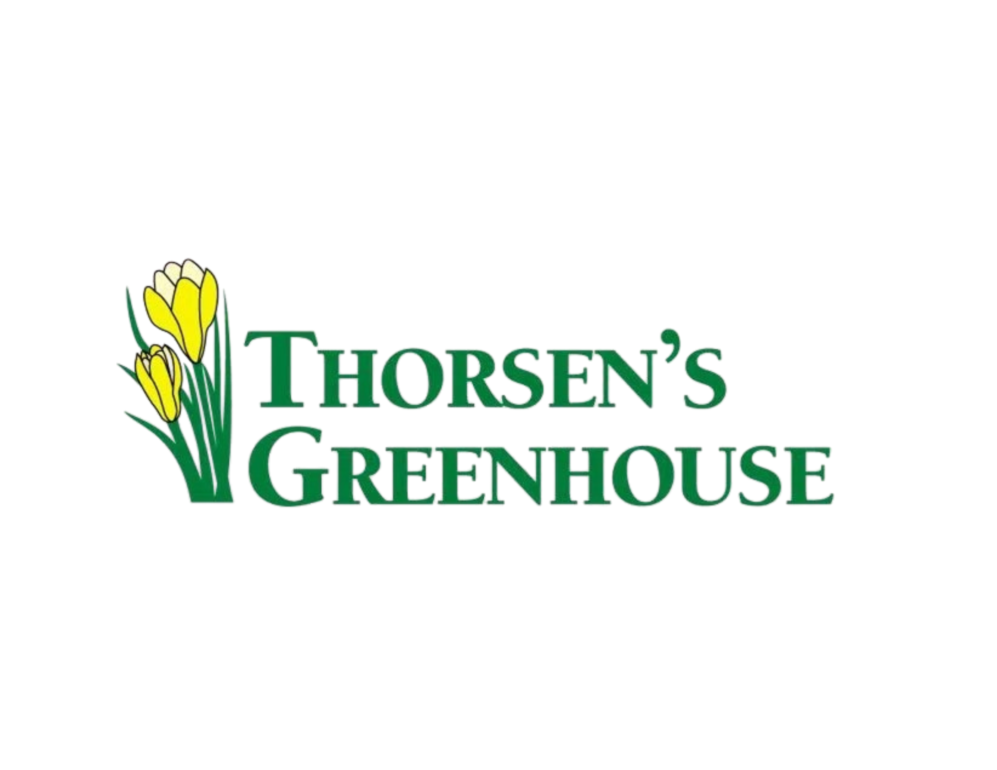 Logo for 'Thorsen's Greenhouse' featuring yellow flowers and green text.