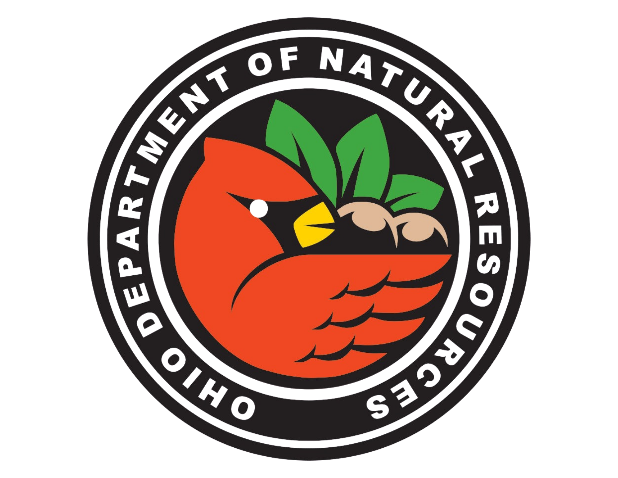Circular logo with an orange bird with a green leaf and a yellow beak, surrounded by black text reading 'THE POINT OF NATURE AND EDUCATION'